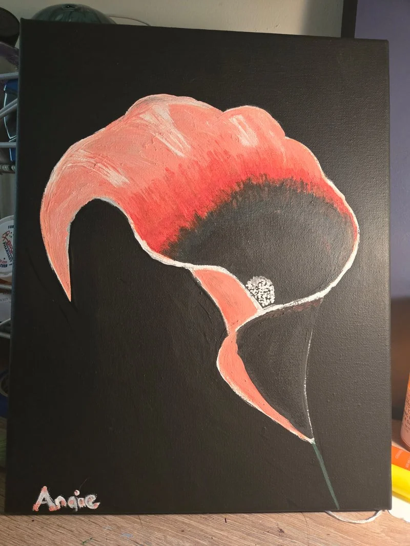 A painting of a red and black poppy flower with white accents on a dark background.
