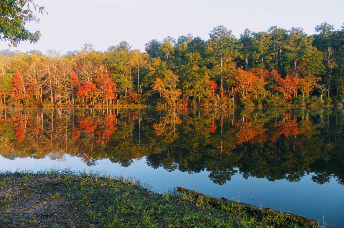 A tranquil lake reflecting a forest with trees in fall colors of green, orange, and red, under a clear sky.