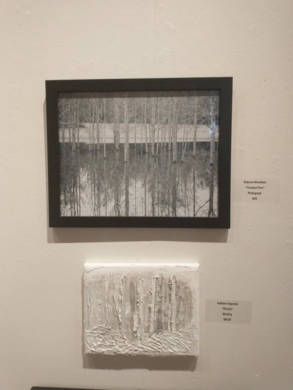 Black and white photograph of a forest with leafless trees, displayed in a black frame, and an abstract textured white canvas artwork below it on the gallery wall. Small labels next to each piece provide titles and details.