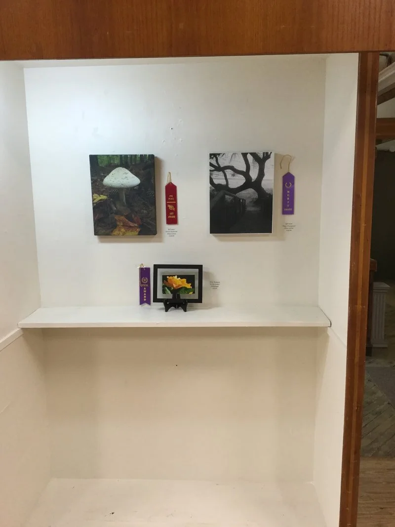 Display shelf with two framed photographs of nature scenes, two award ribbons, and a small framed flower picture.