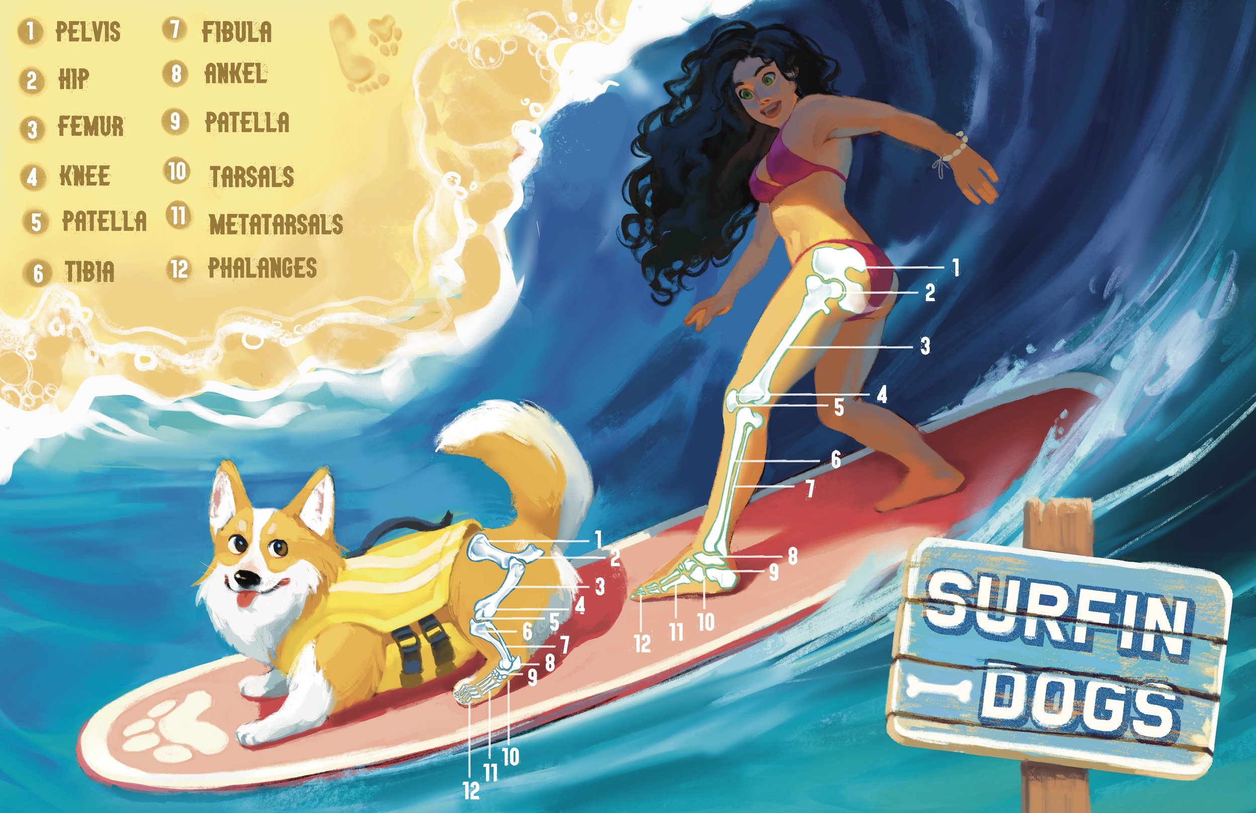 Untitled_Artwork (1).jpg