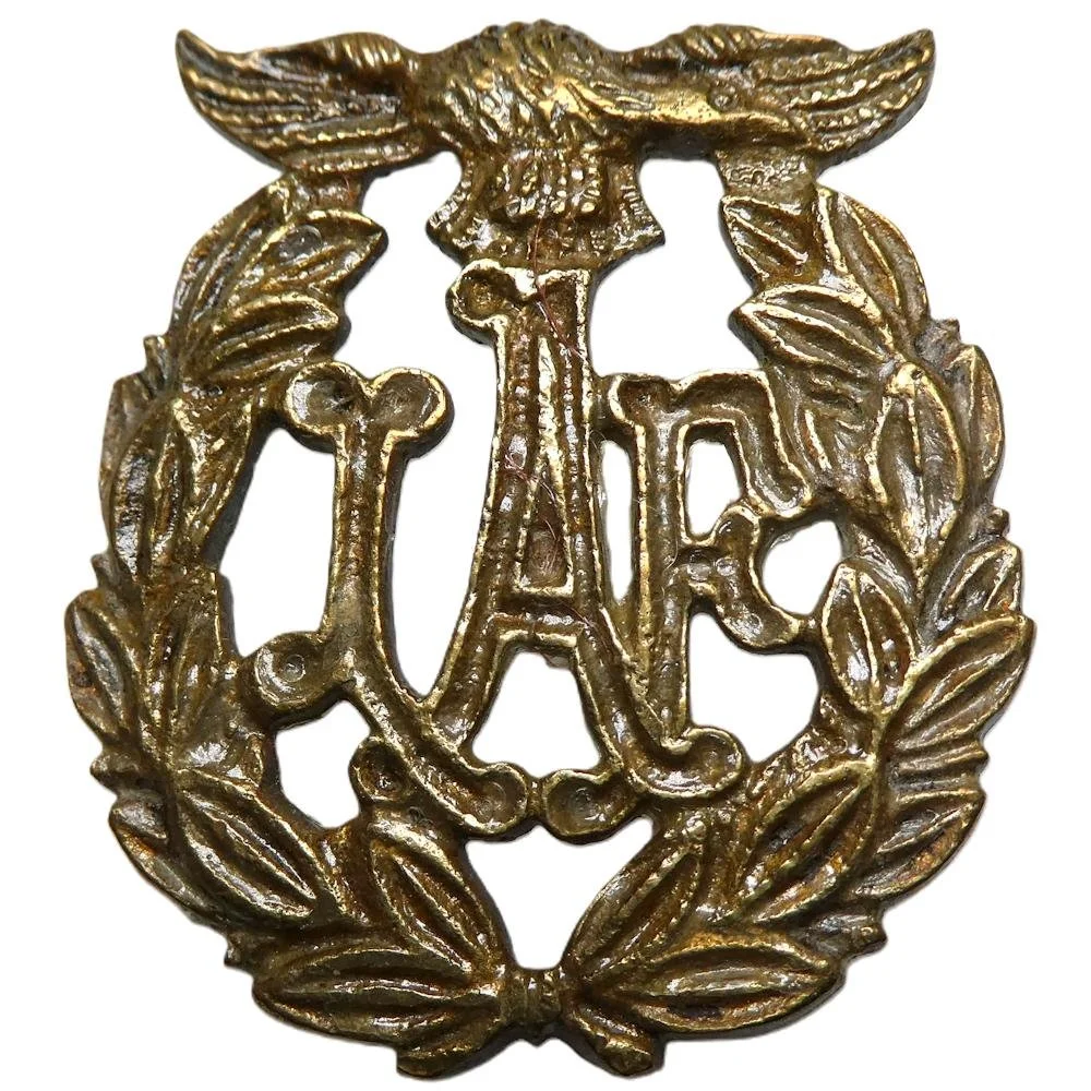 Indian Air Force (IAF)