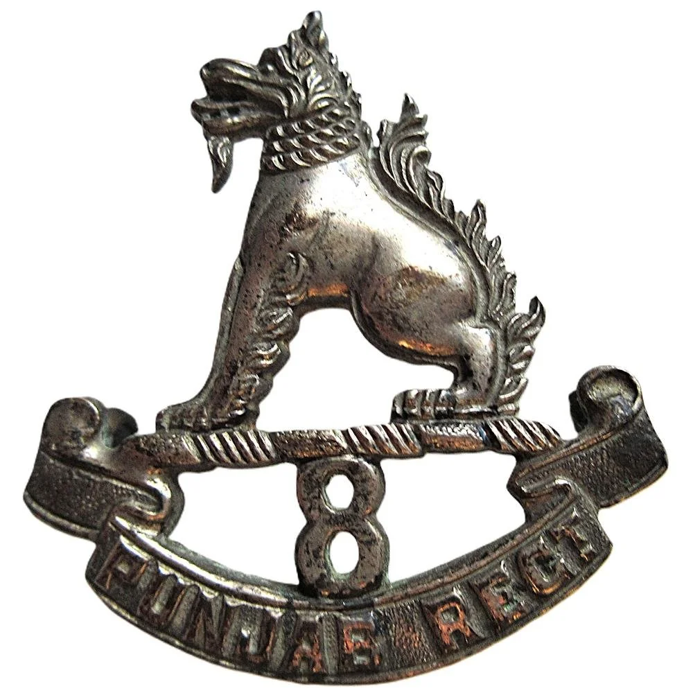 8th Punjab Regiment