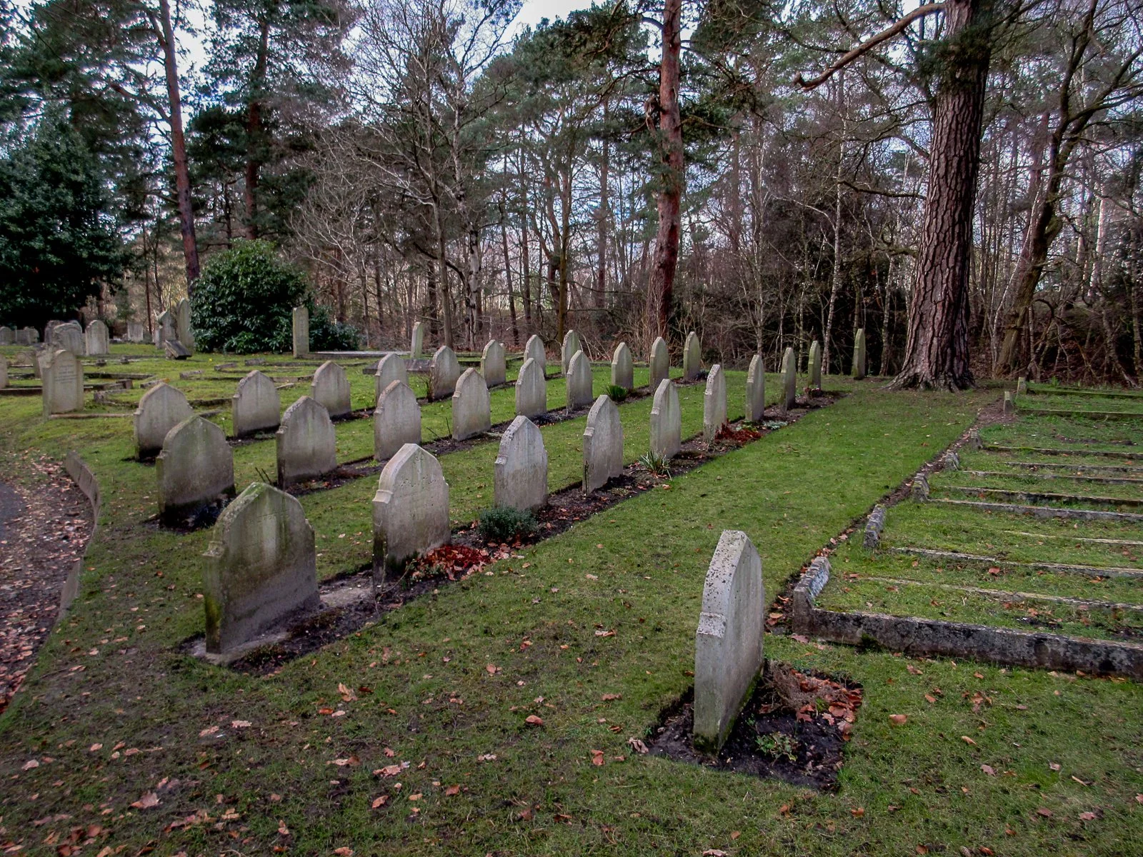 The Brookwood Muslim plot in the civilian cemetery

(source TMcC)