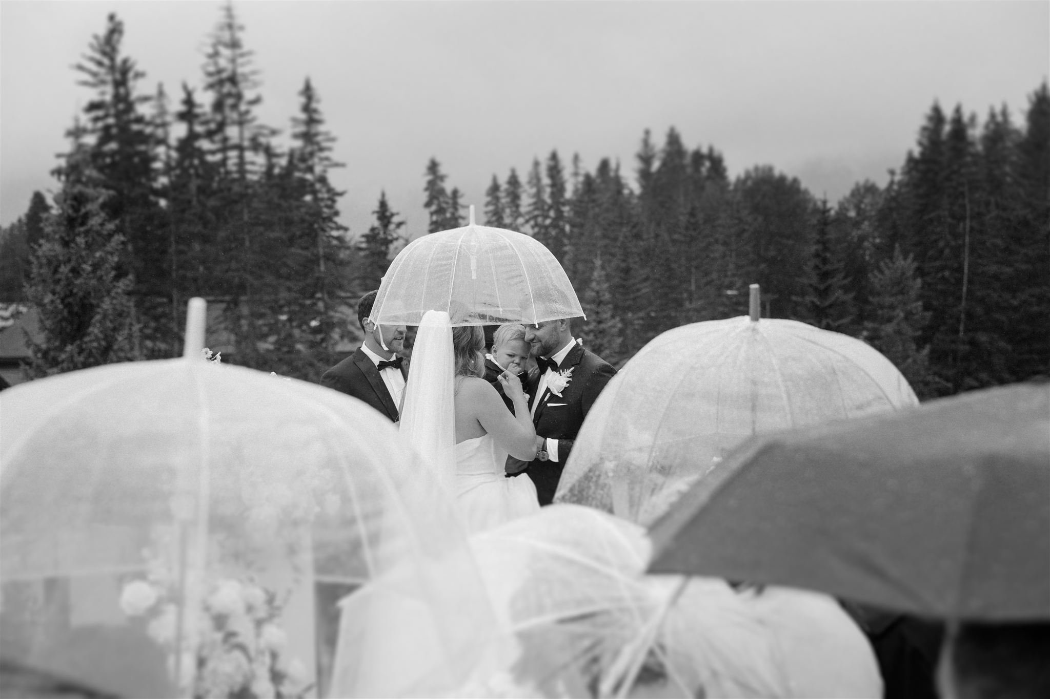 Sarah & Cole _ Malcolm Hotel Canmore Wedding_221_websize.jpg