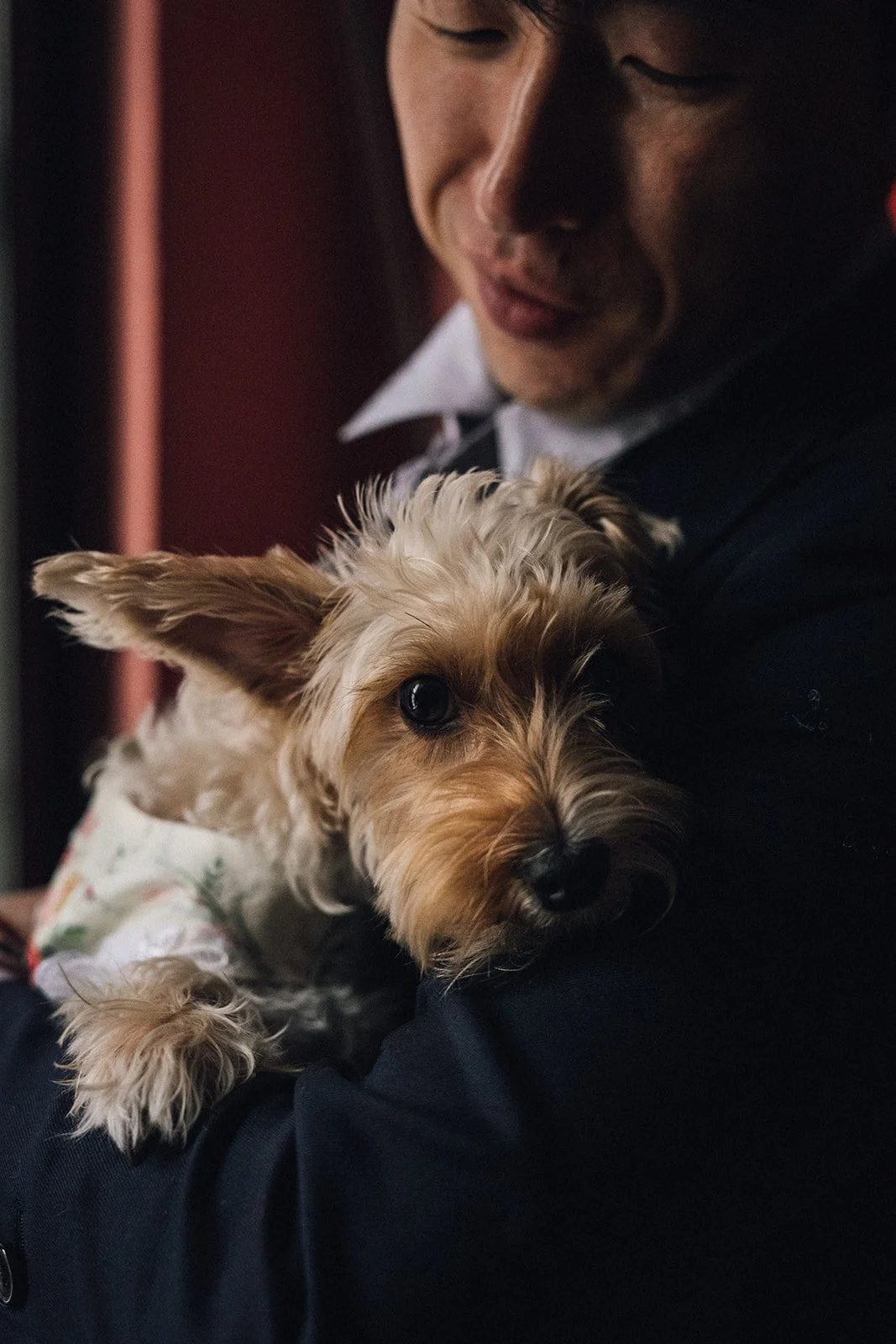 a groom holding his dog-thin-bordered