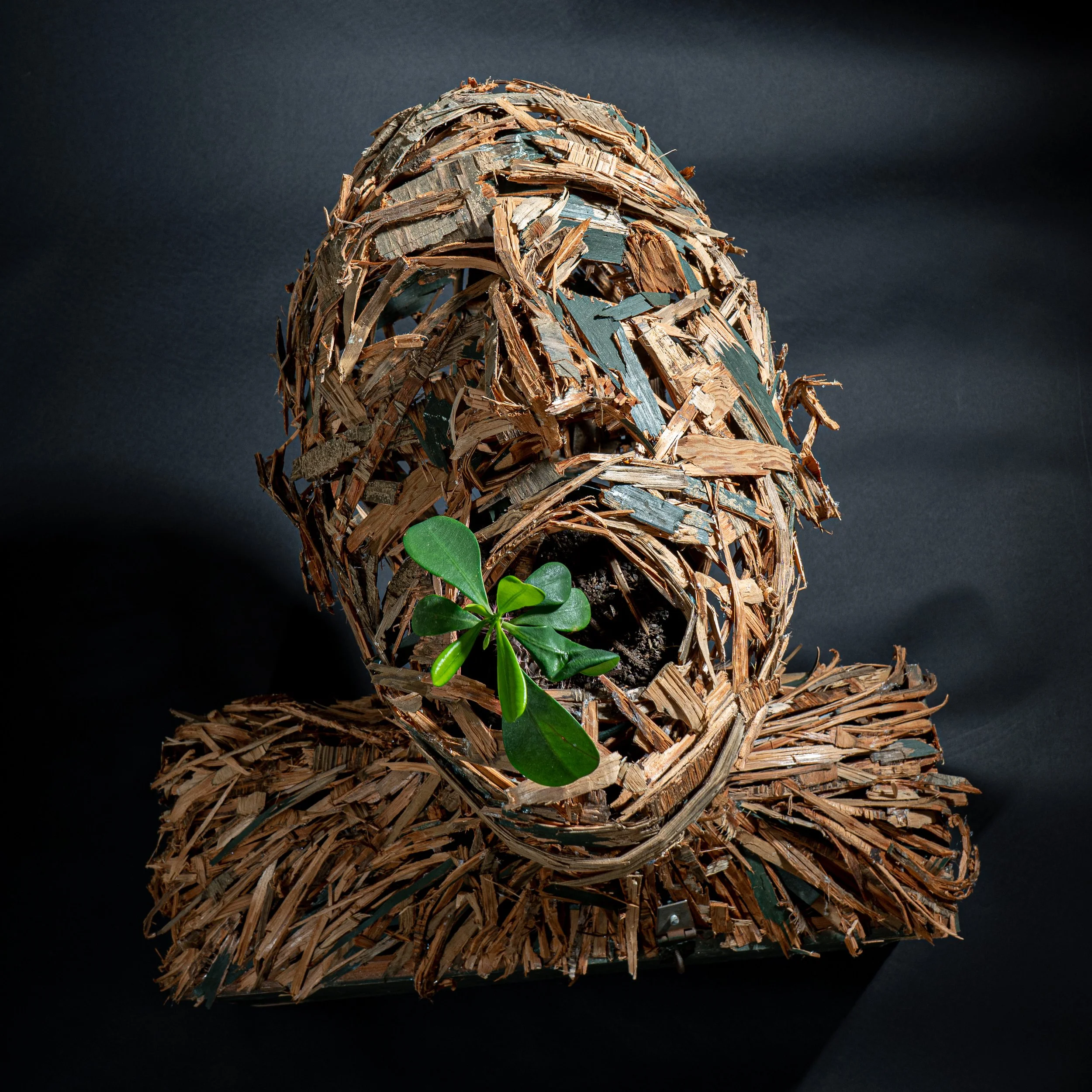 Sculpture of a human head made from wood and metal scraps with a green plant growing from its mouth, set against a black background.