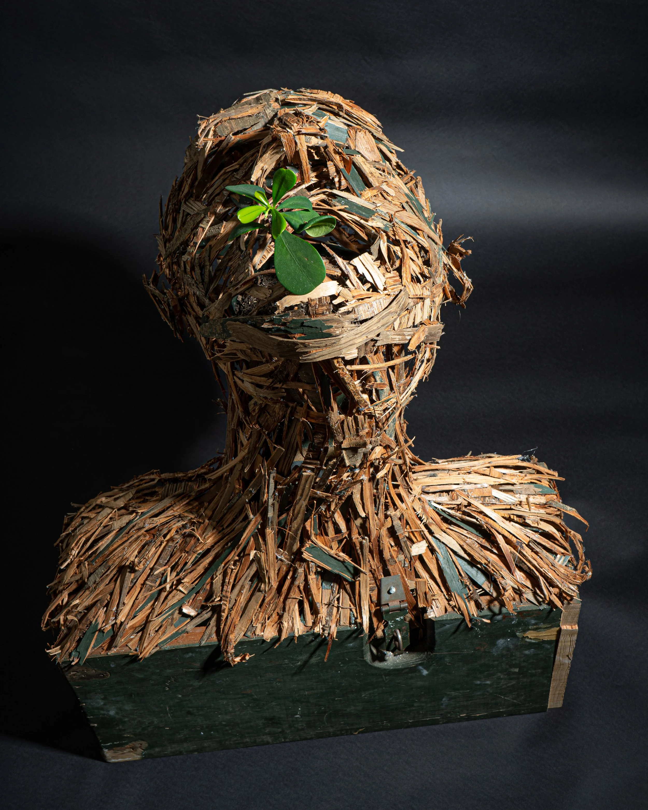 Wood sculpture of a human bust with green plant leaves on the face, set against a black background.