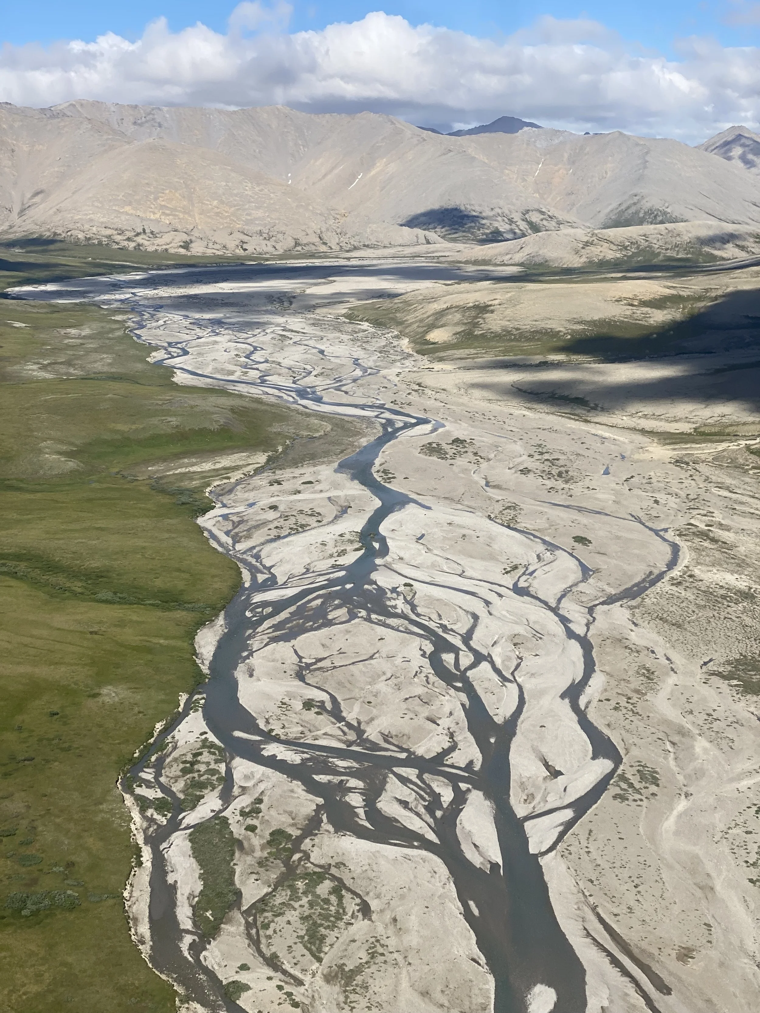 Aerial view of a dry riverbed with winding channels through a landscape of green and beige terrain, mountains in the background under a cloudy sky.