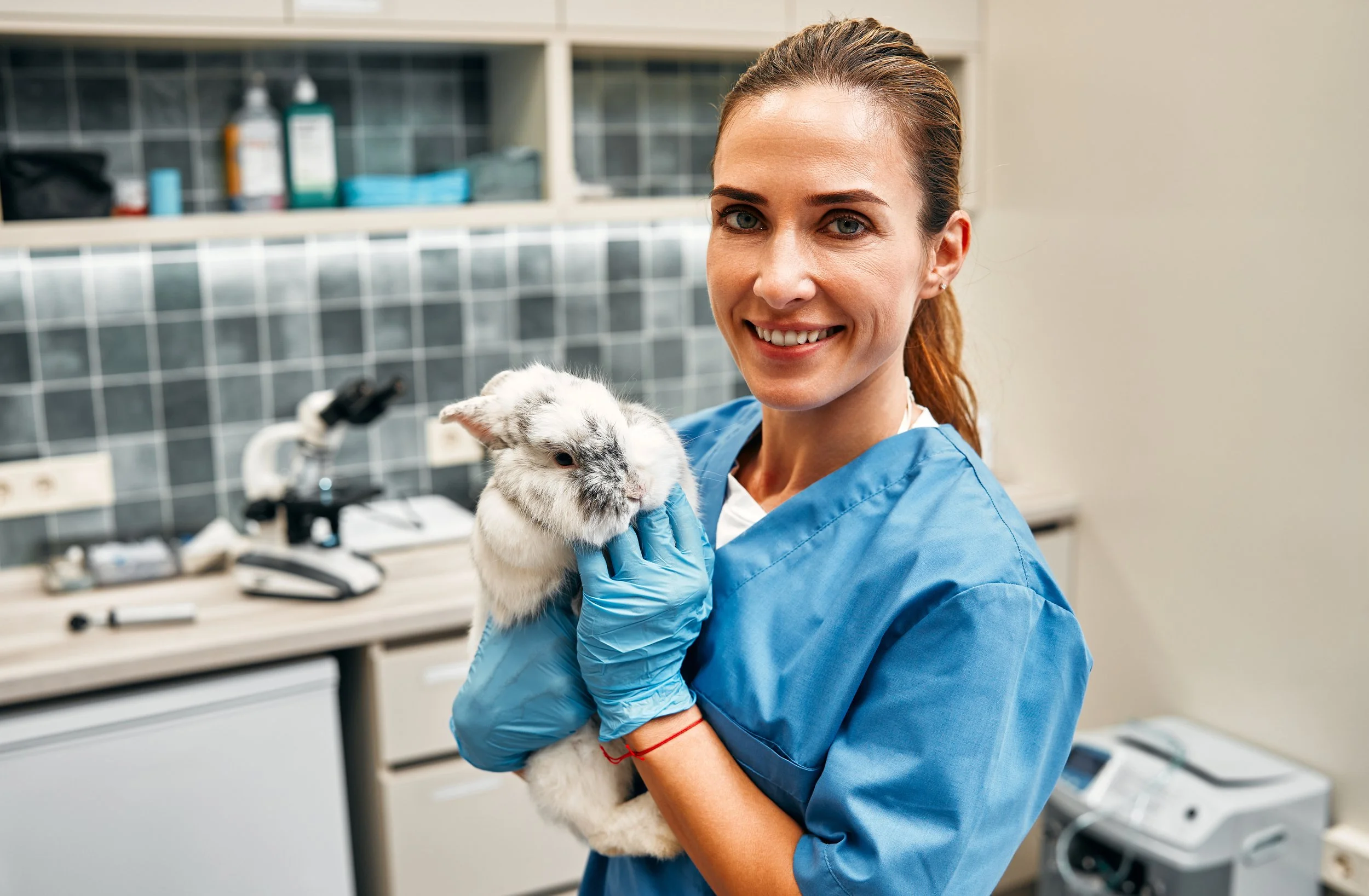A smiling female veterinarian in blue scrubs and gloves holding a white rabbit with black spots in a veterinary clinic.