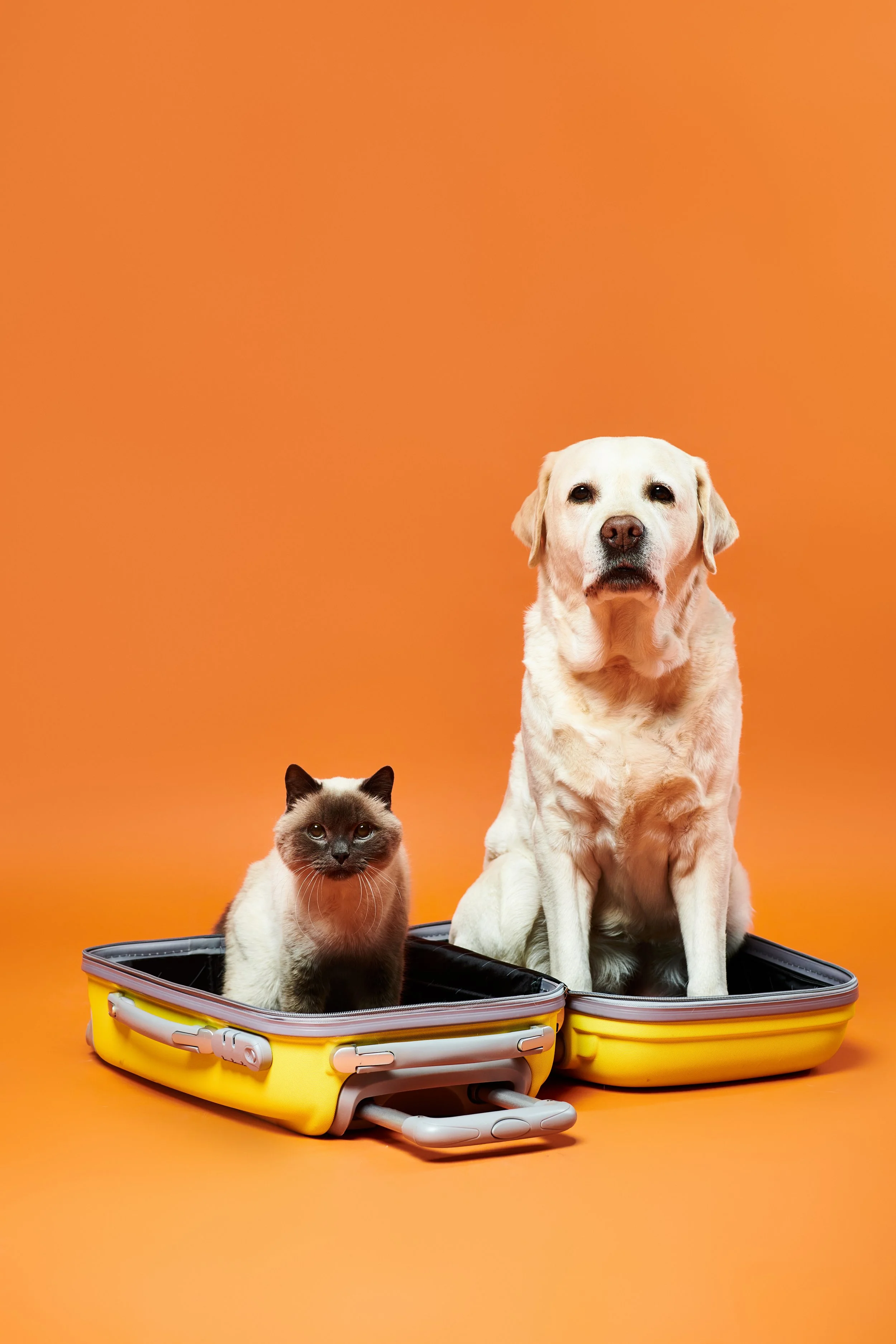 The Pawsport Travel Readiness System™