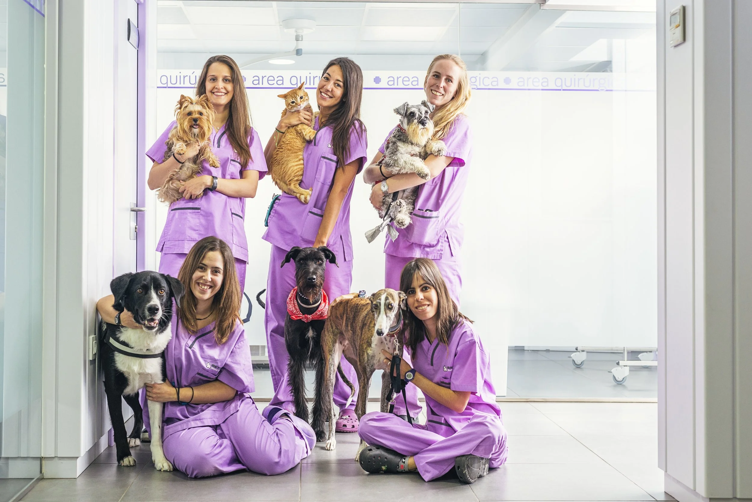 cheerful-women-veterinary-holding-her-pets-2026-01-05-05-13-59-utc.jpg
