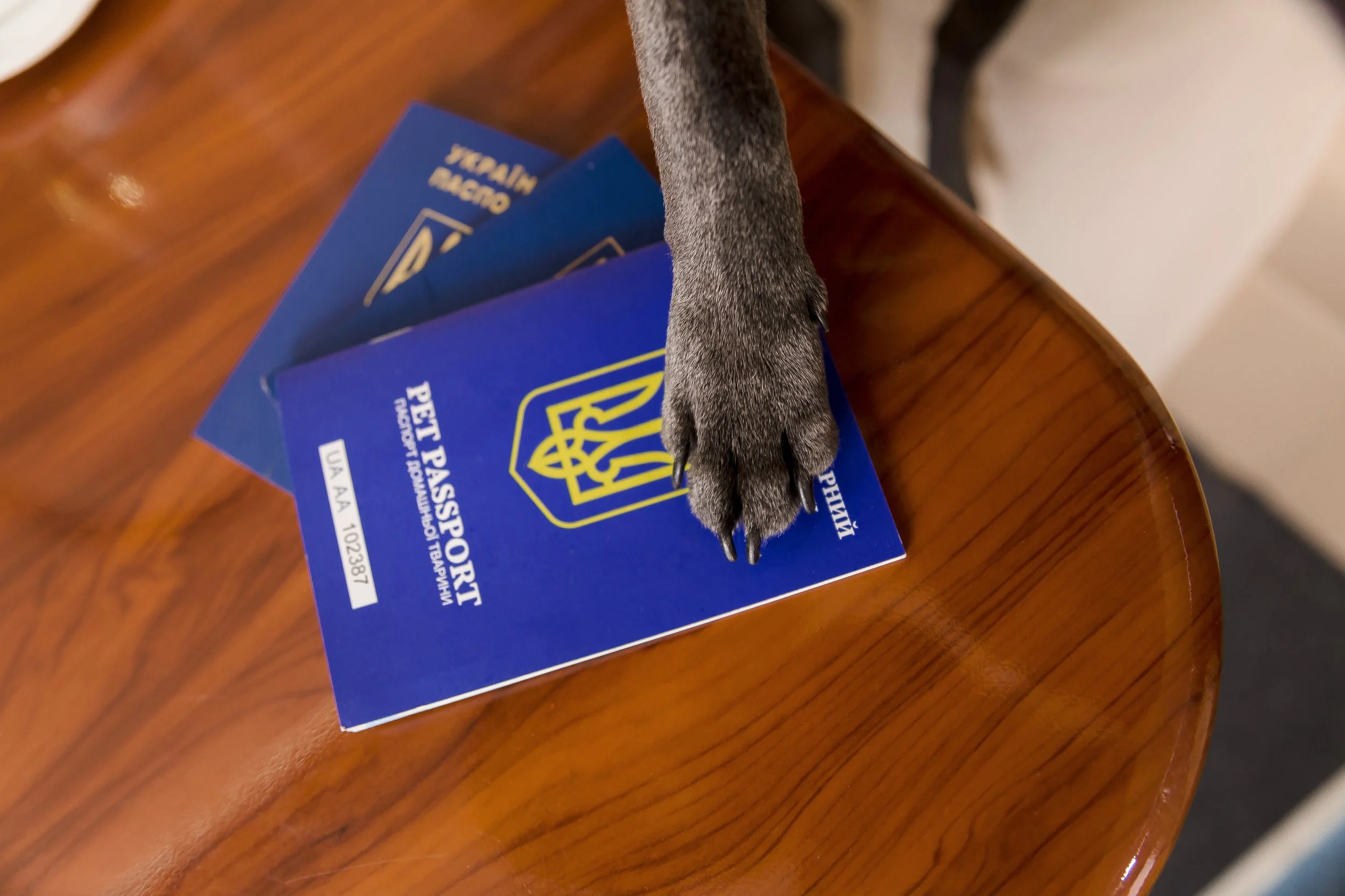 🔴 Pawsport™ Professional