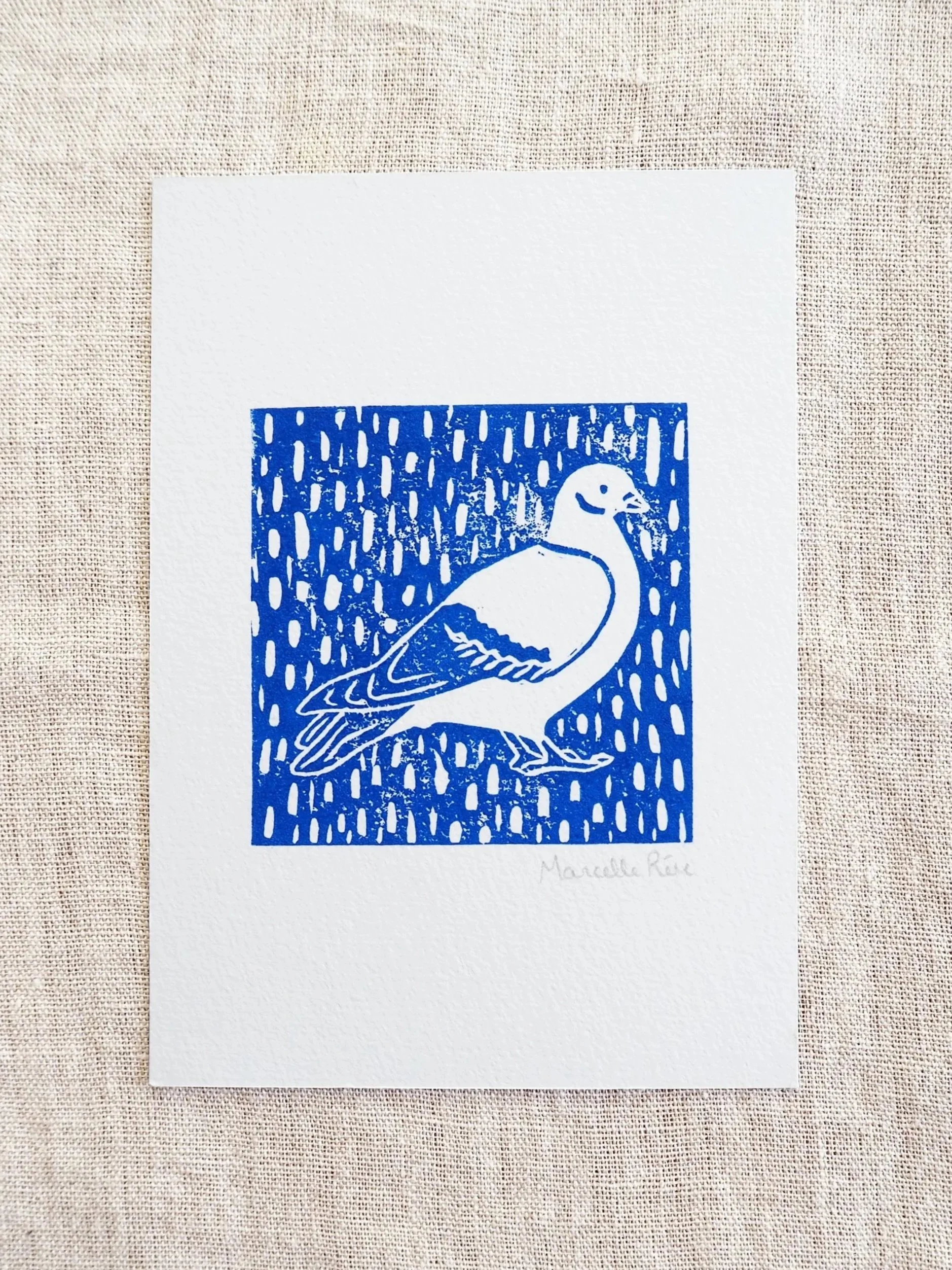 Lino%2BPigeon.jpg