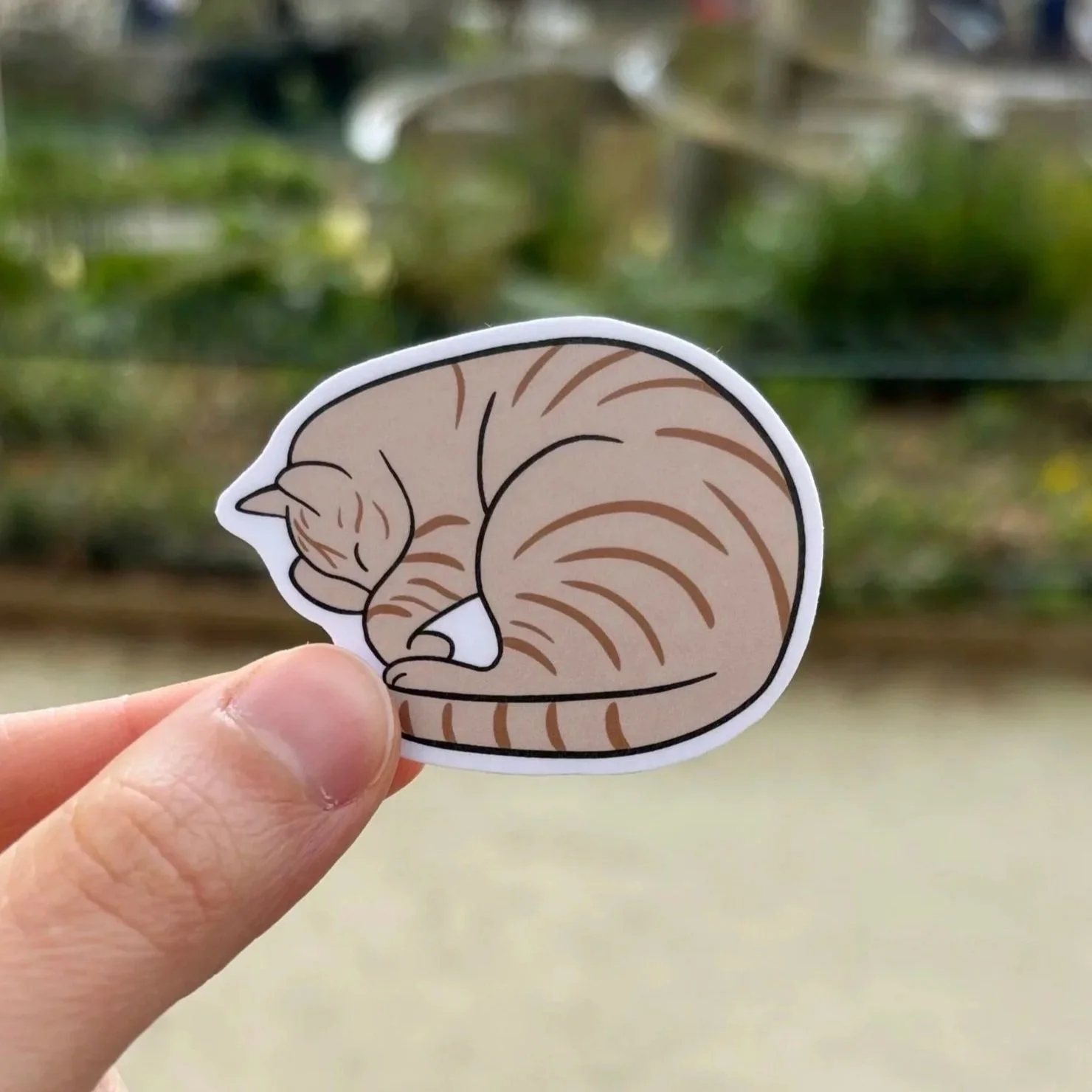 Sticker Chat tigré