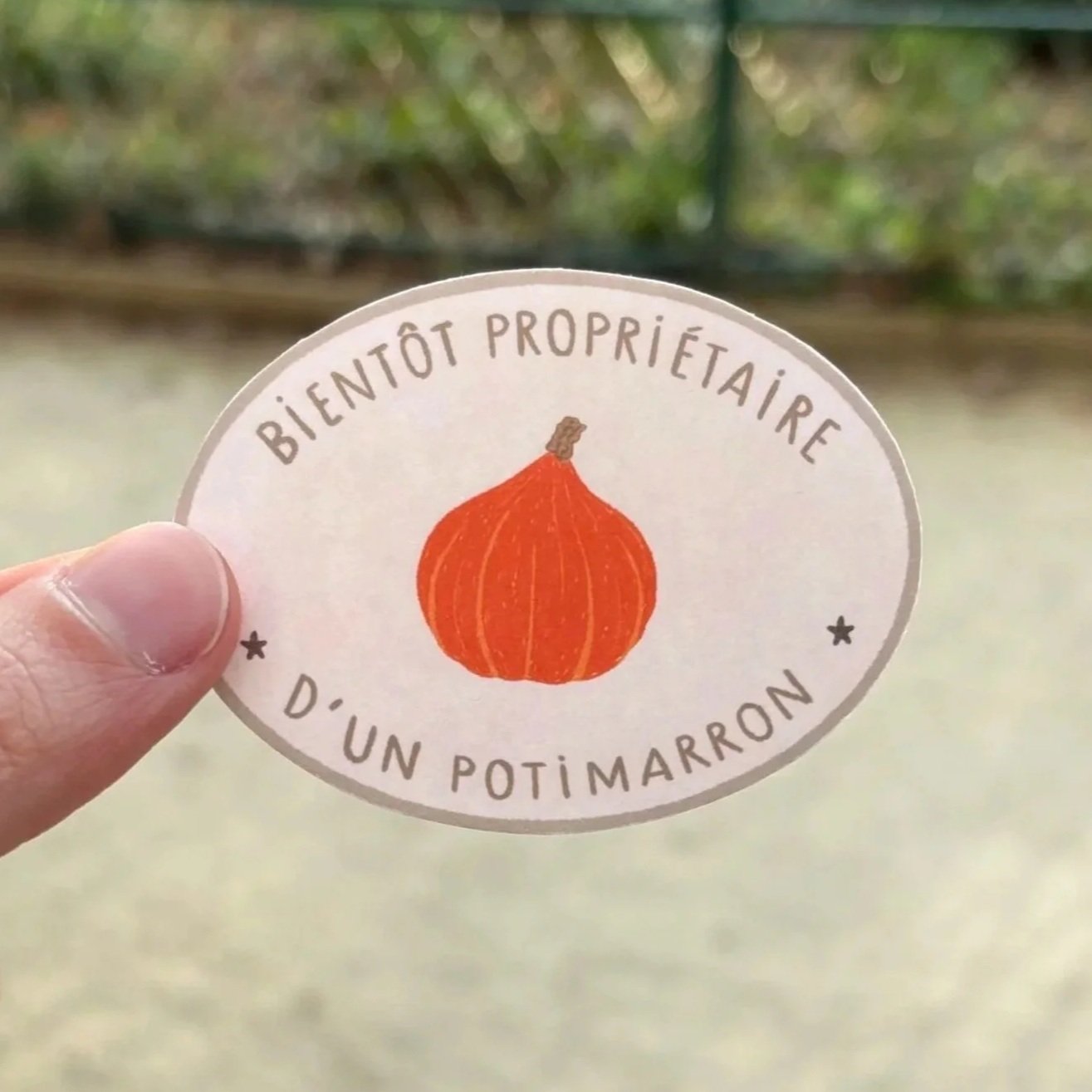Sticker Potimarron