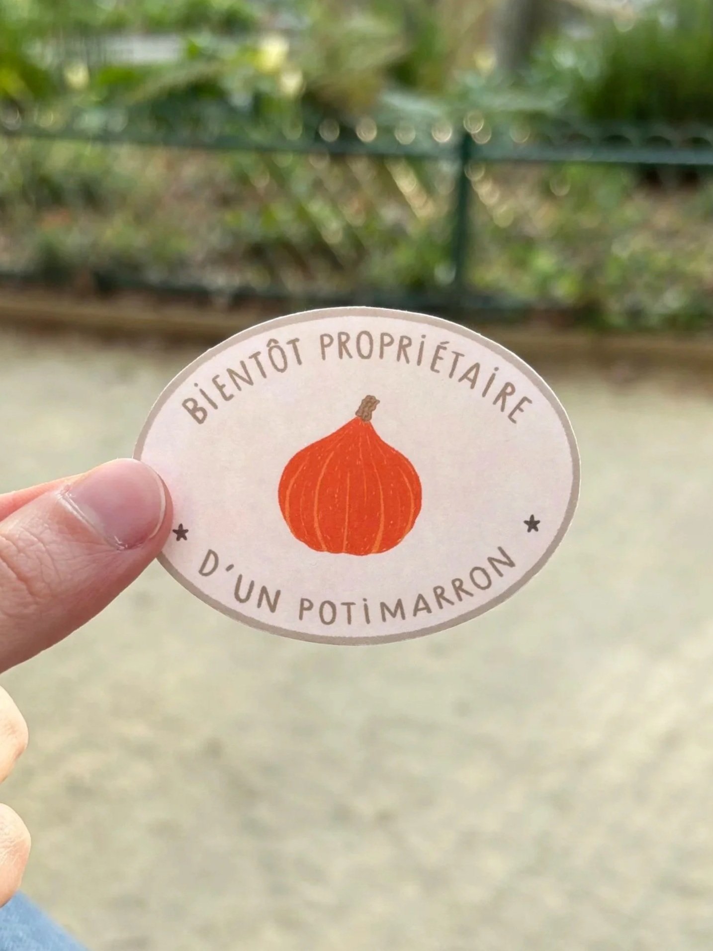 Potimarron.jpg