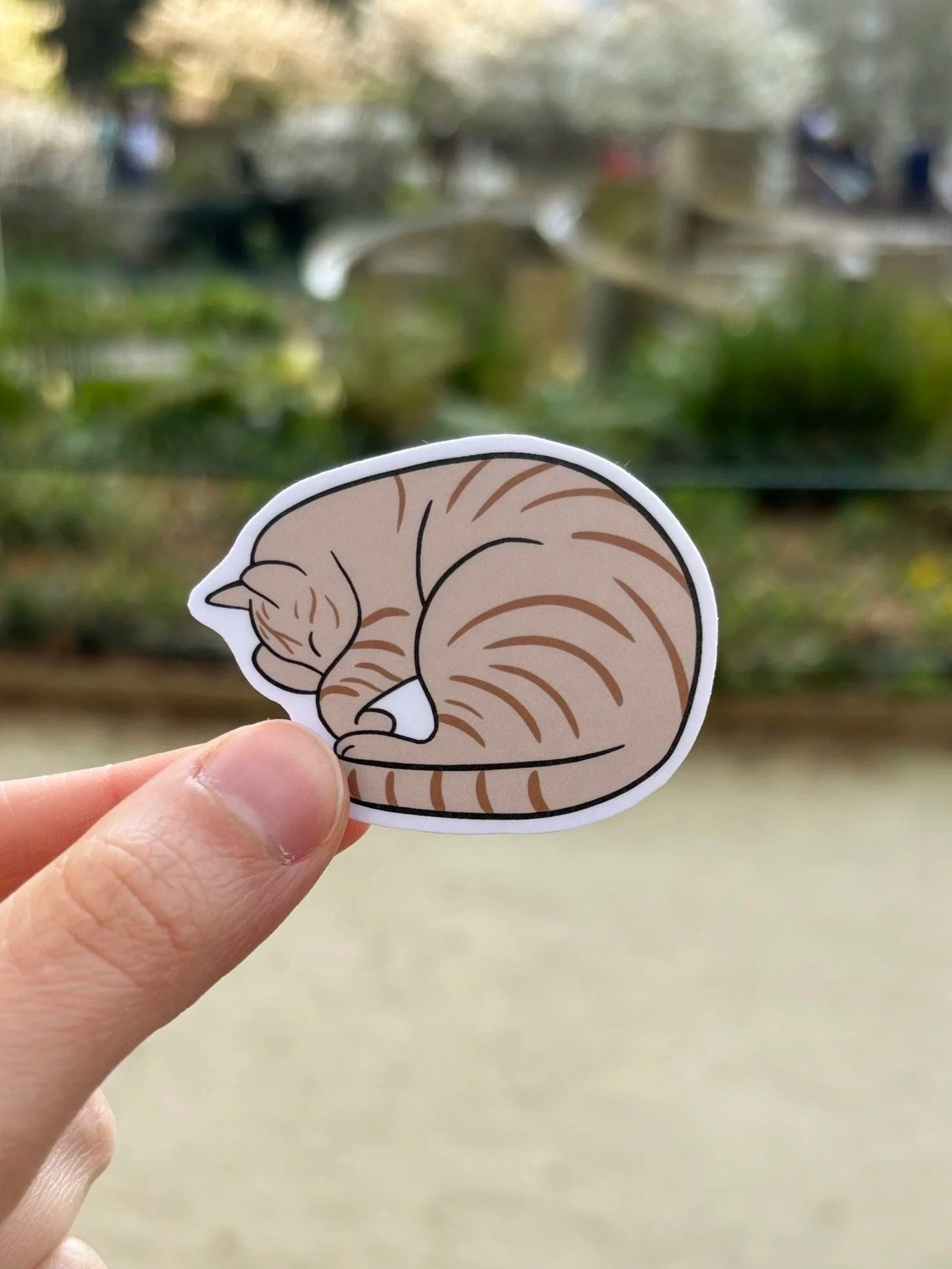 Chat+tigr%C3%A9.jpg