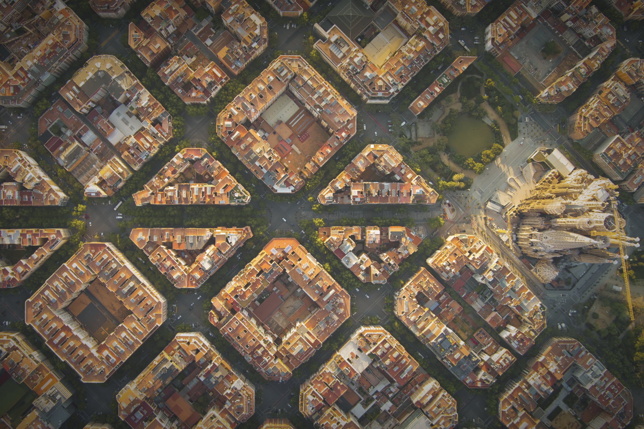 Belonging in Barcelona