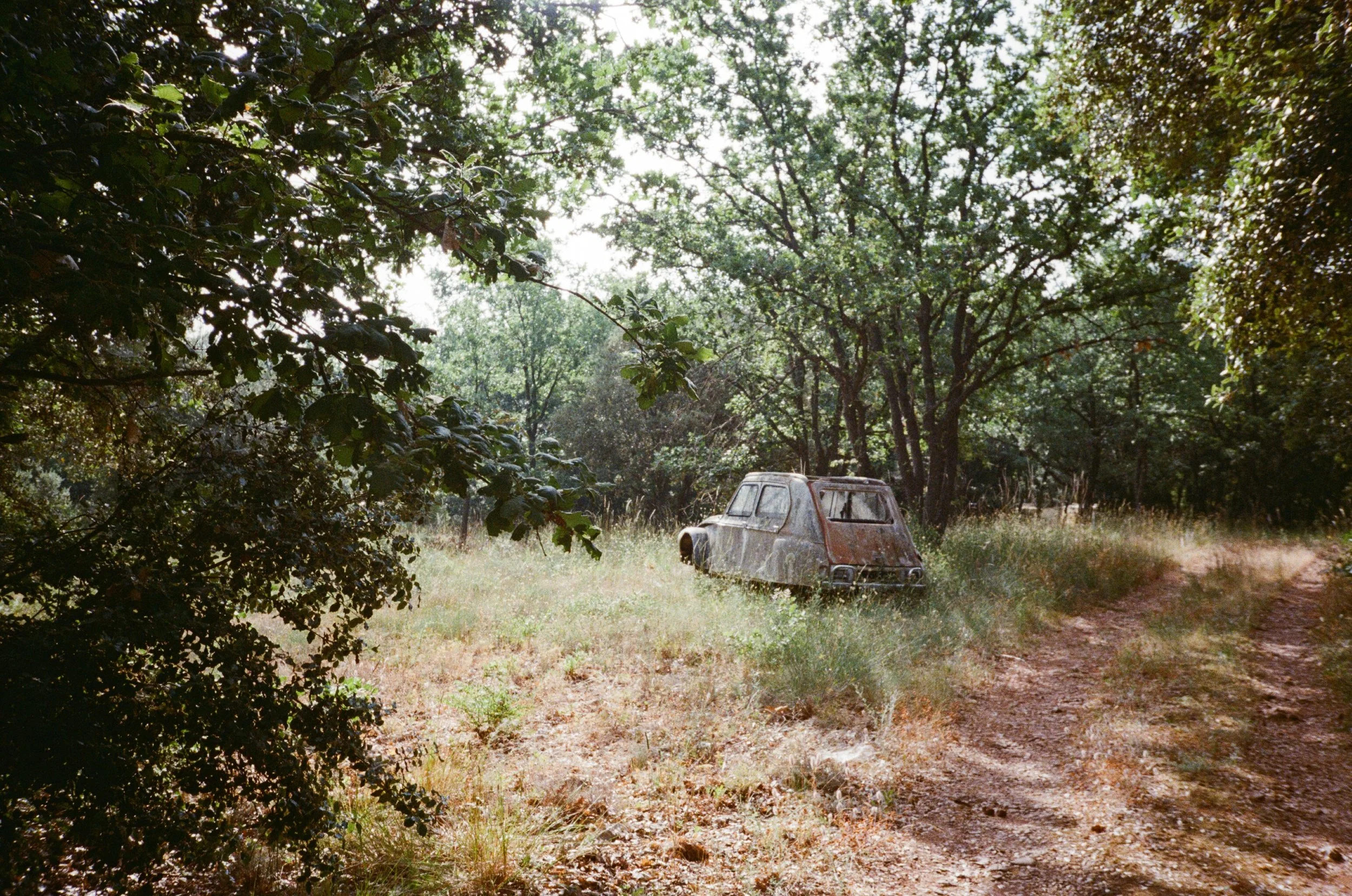 Old Age (35 mm, 2025)