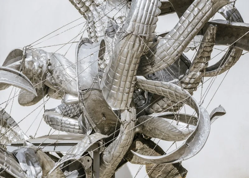 Detail photo by Brian Guido