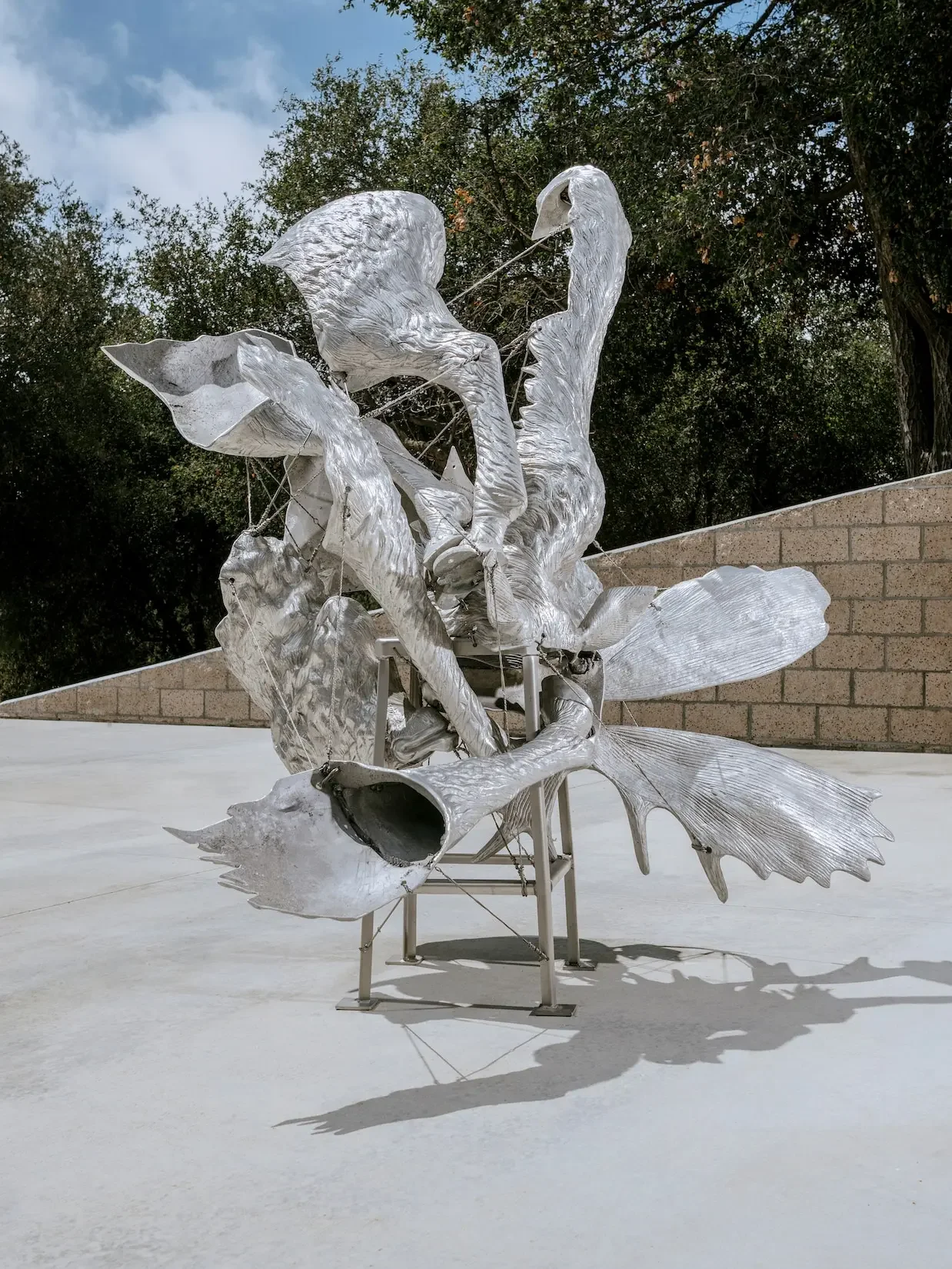 Installation photo by Brian Guido