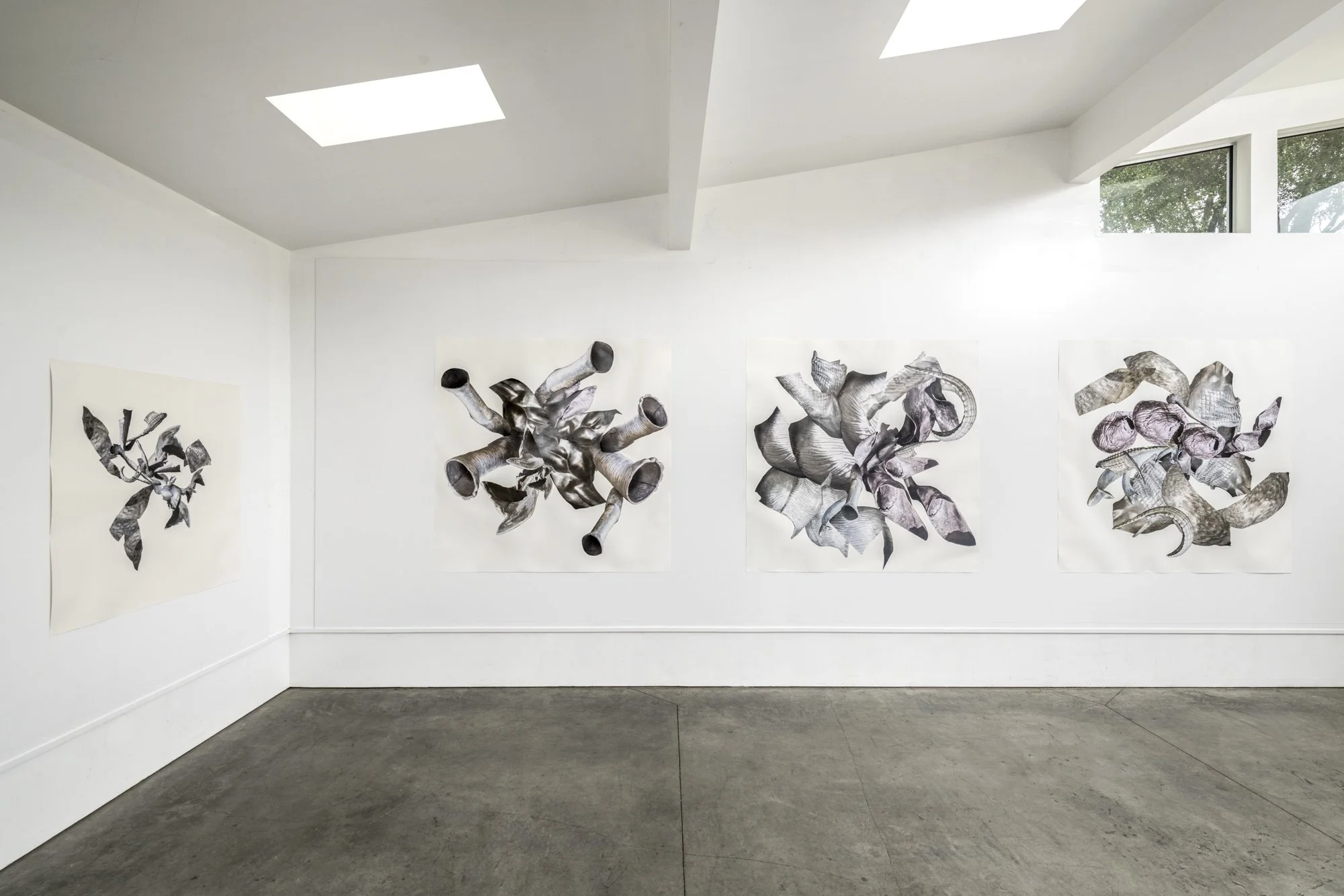 Installation photo by Brian Guido