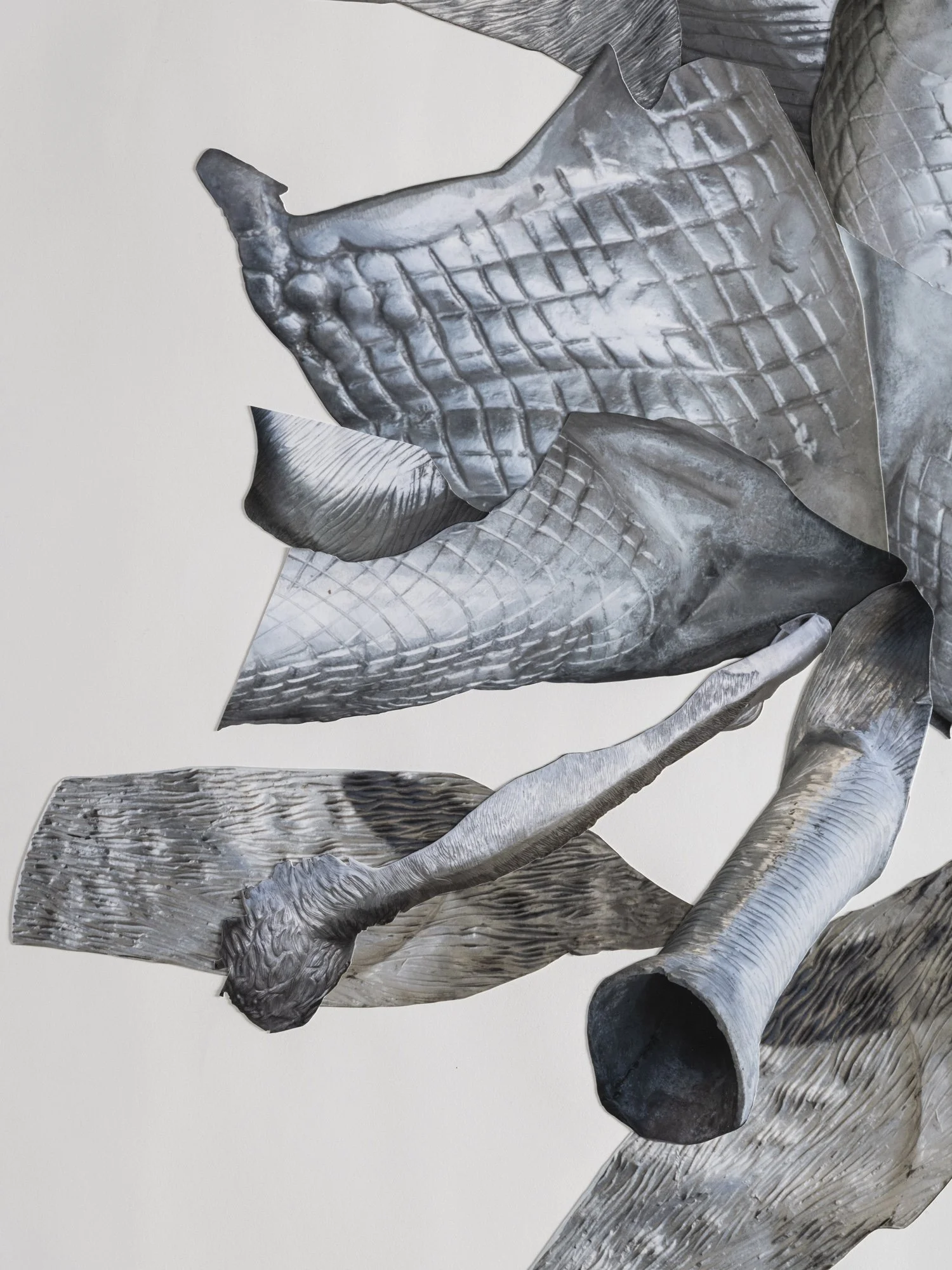 Detail by Brian Guido