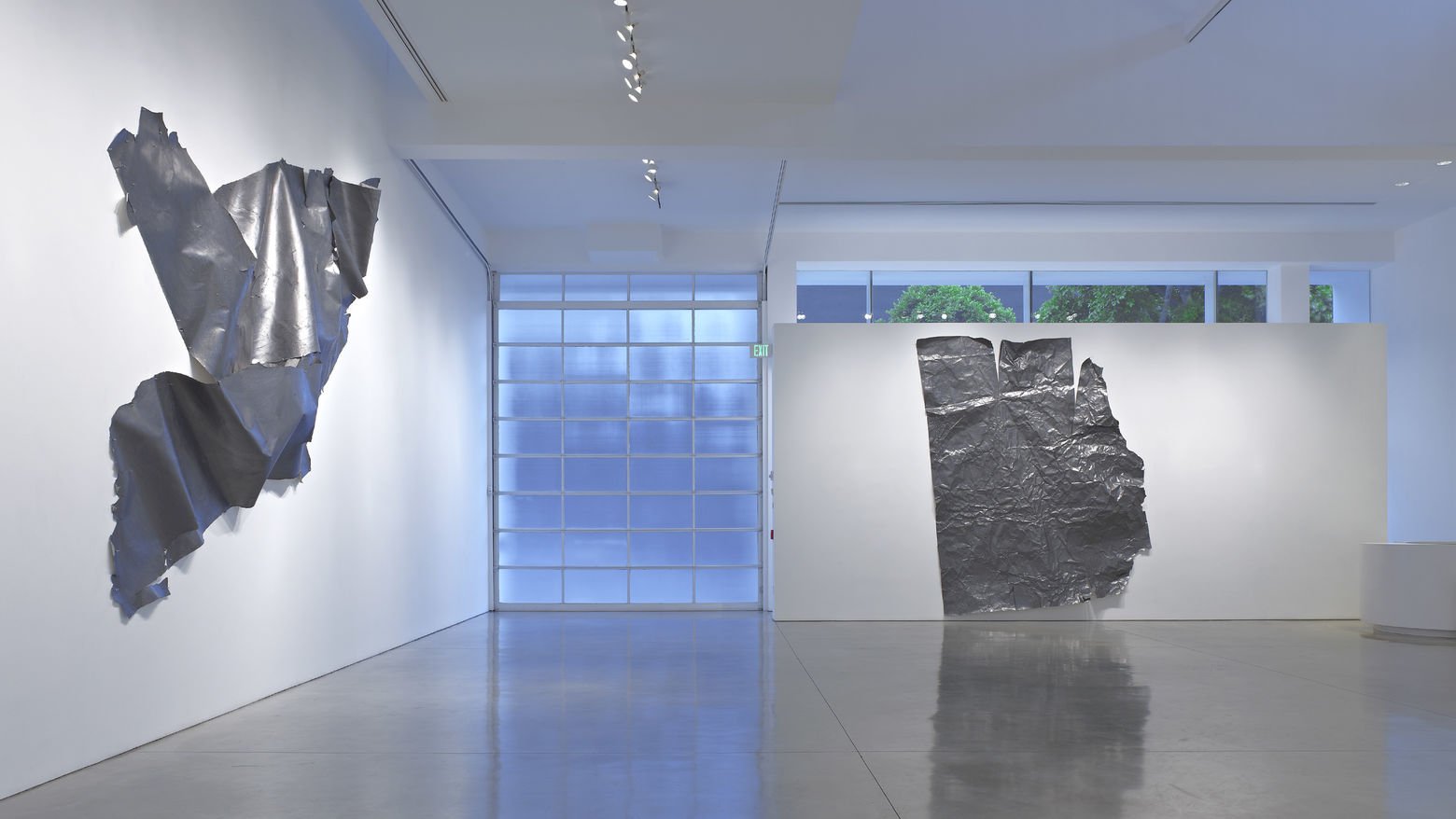   Skins, Structures, Landmasses , Gagosian Beverly Hills, Beverly Hills, CA 
June 3-July 9, 2010