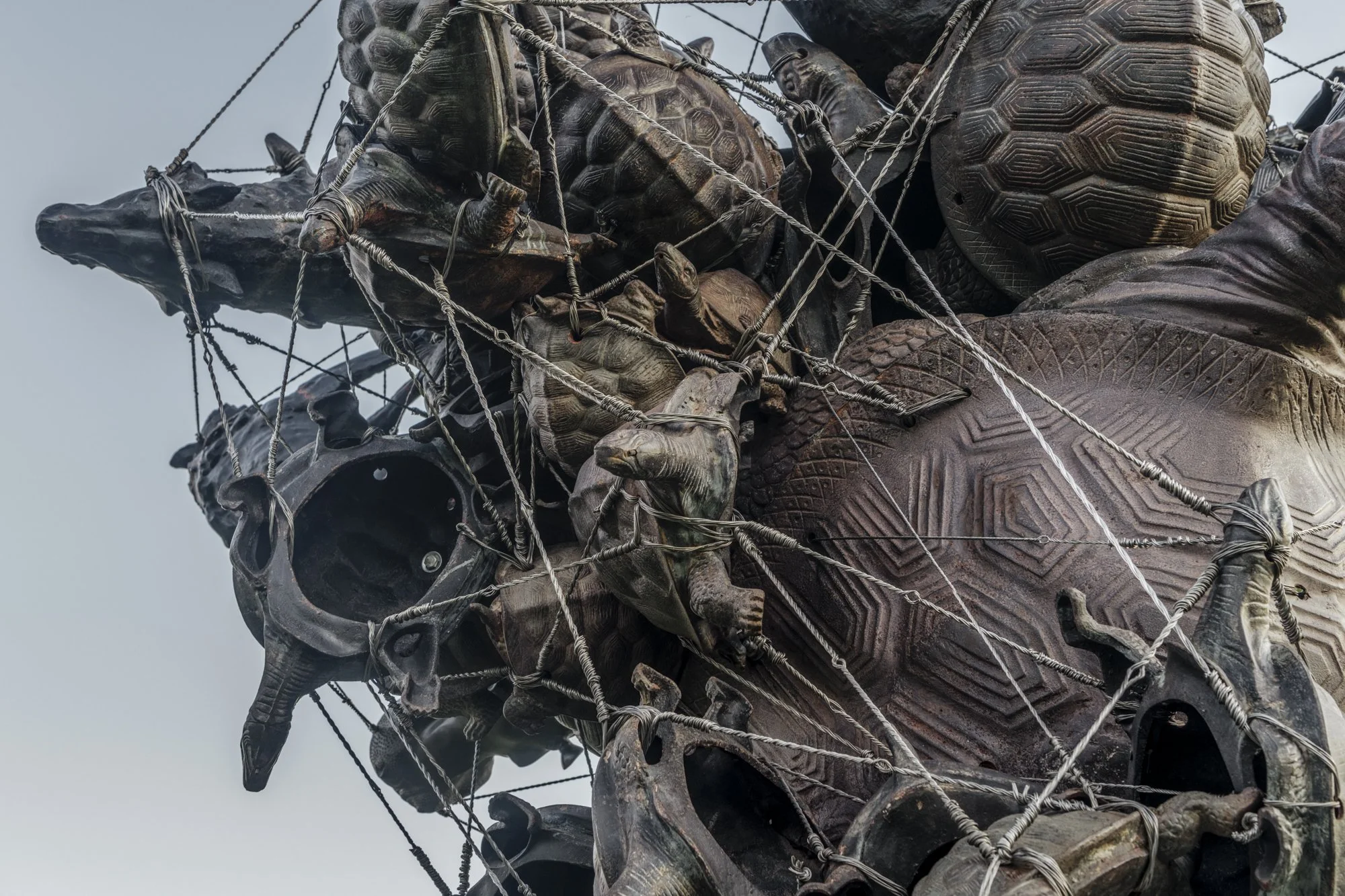 Detail photo by Brian Guido