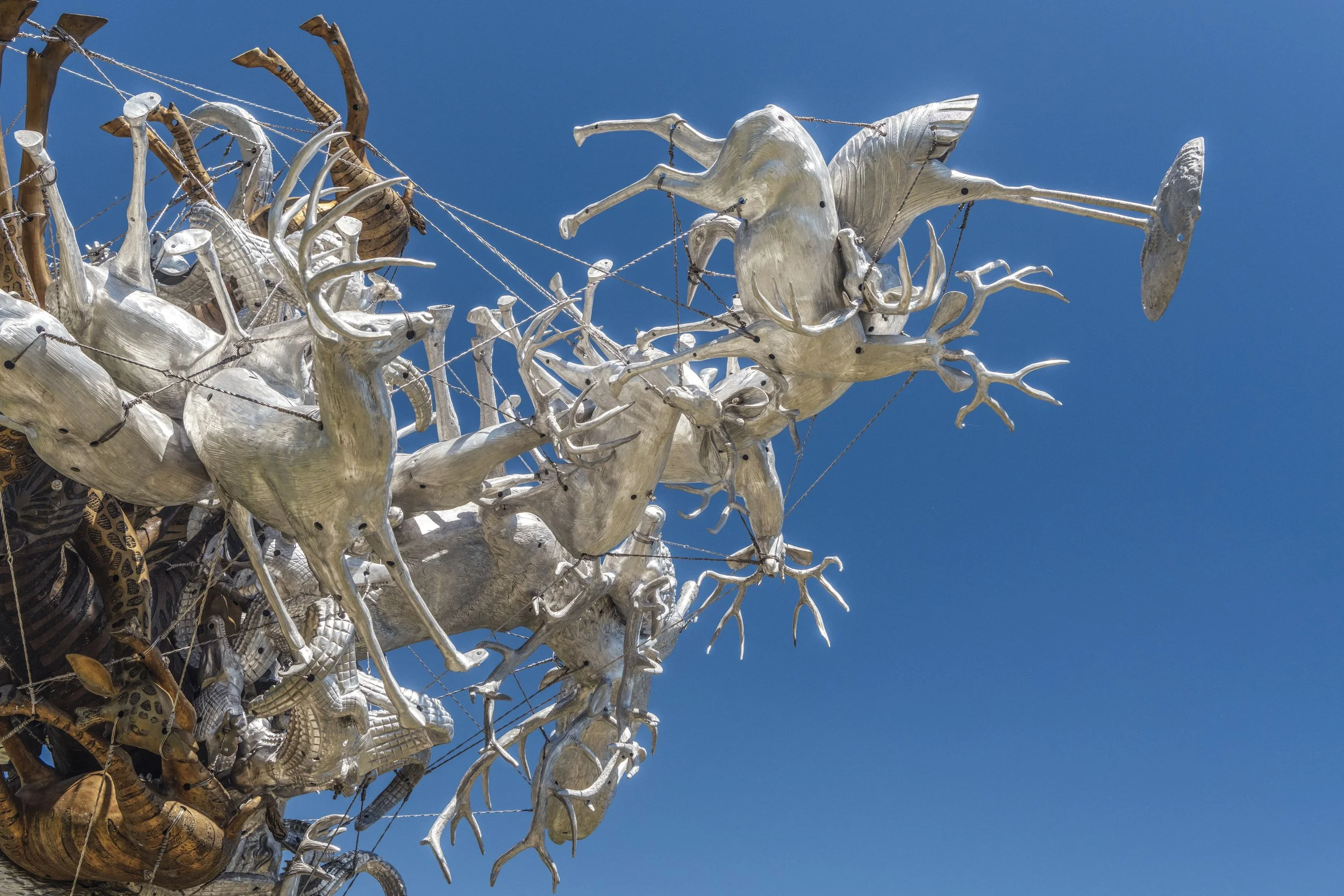 Detail photo by Brian Guido