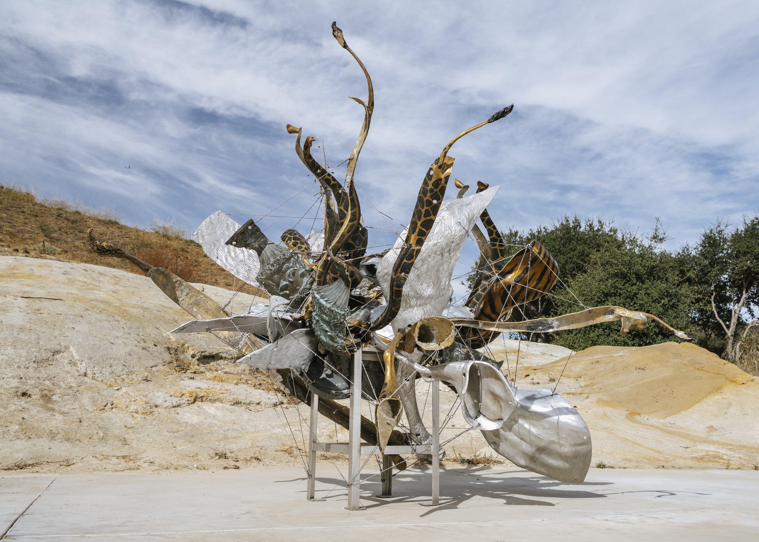   Fizzy's Nebuli,   2019