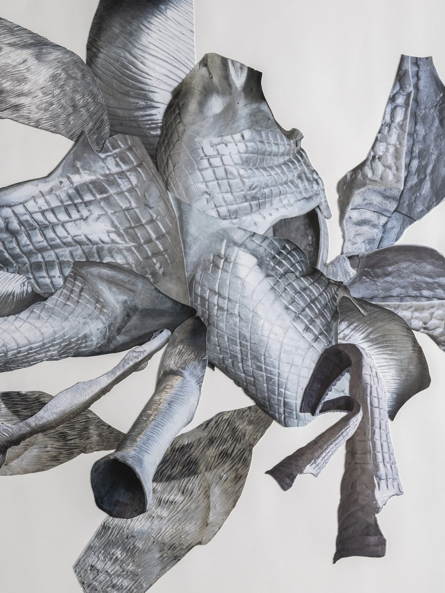 Detail by Brian Guido