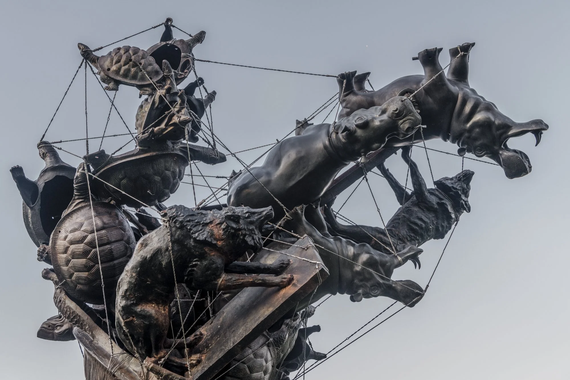 Detail photo by Brian Guido