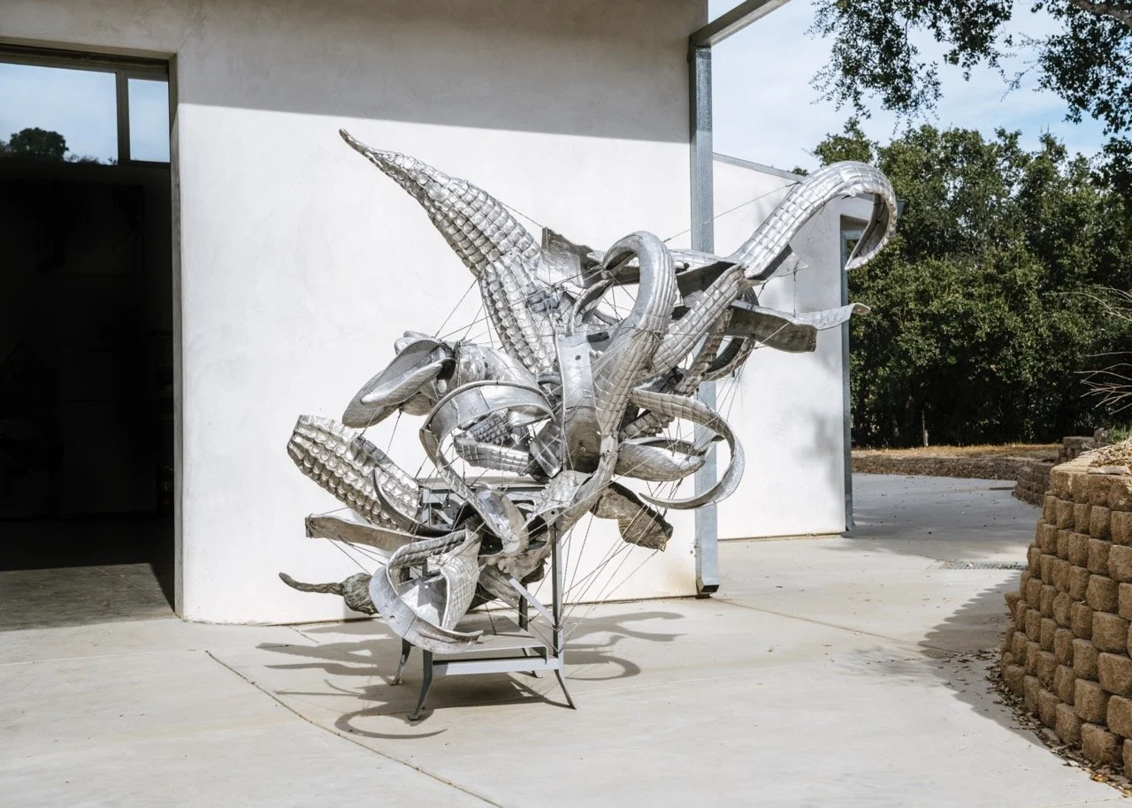   Luna Primavera,   2019