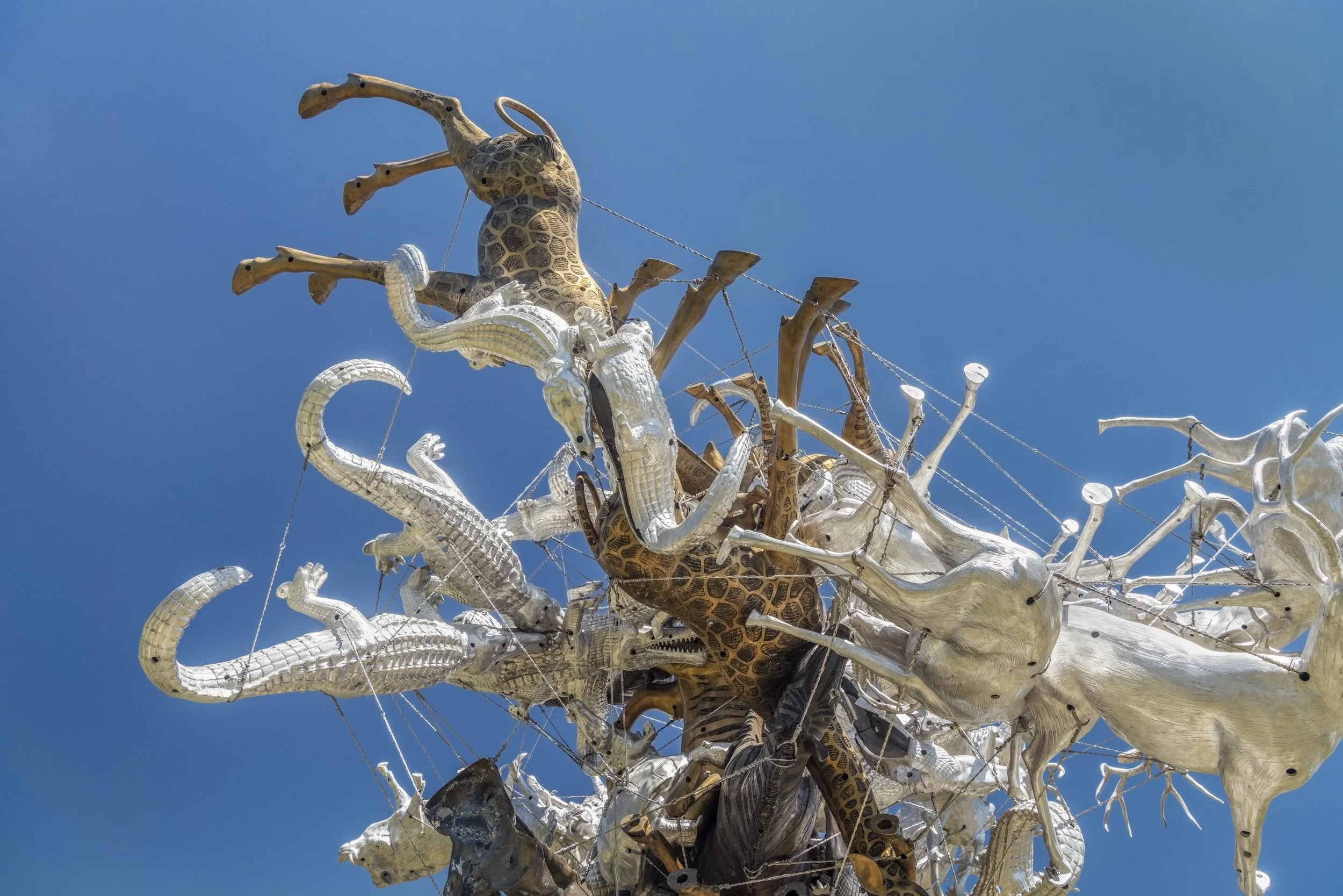 Detail photo by Brian Guido