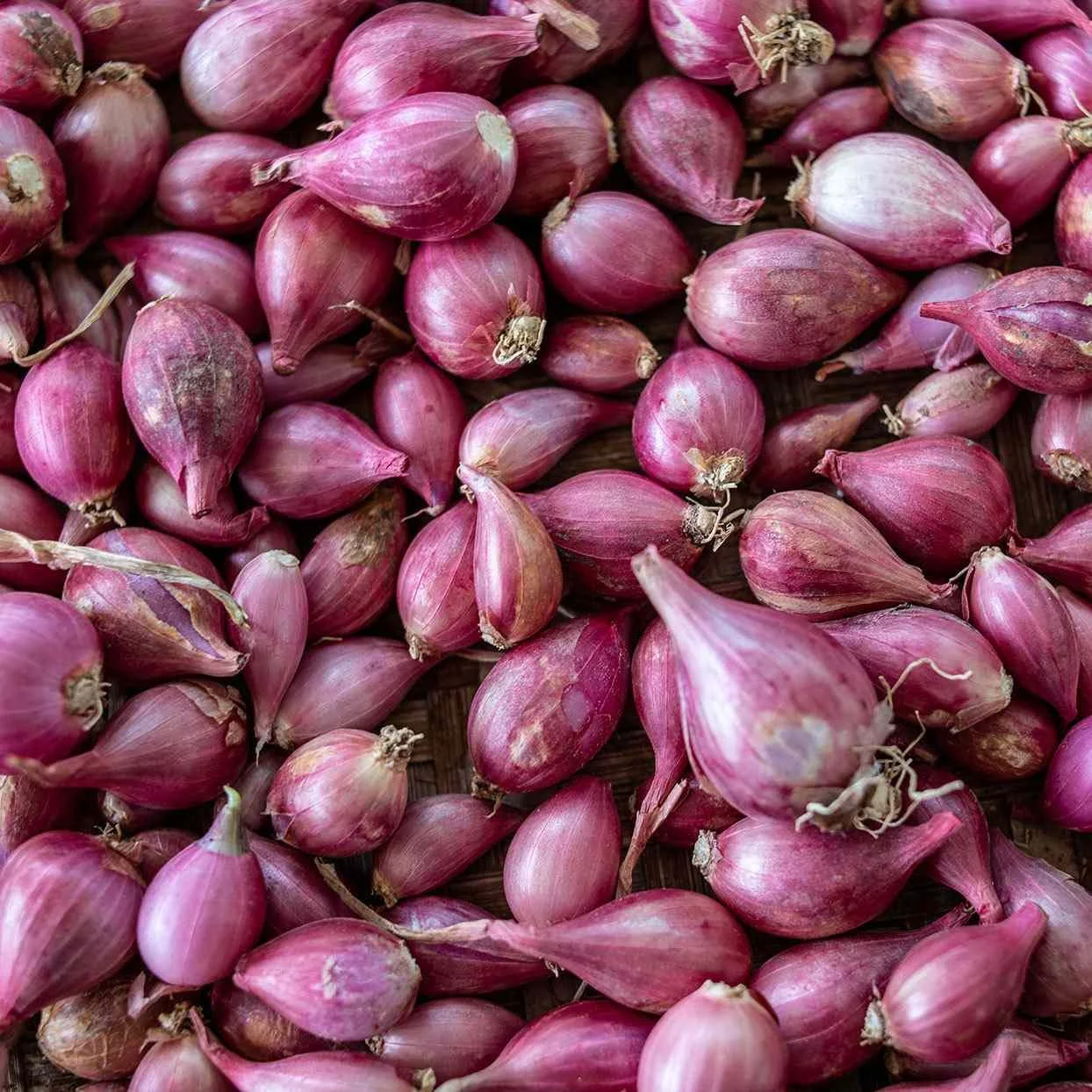 shallots-1244-getty-436aada87c9f4b608652b798e9fa4750.jpg