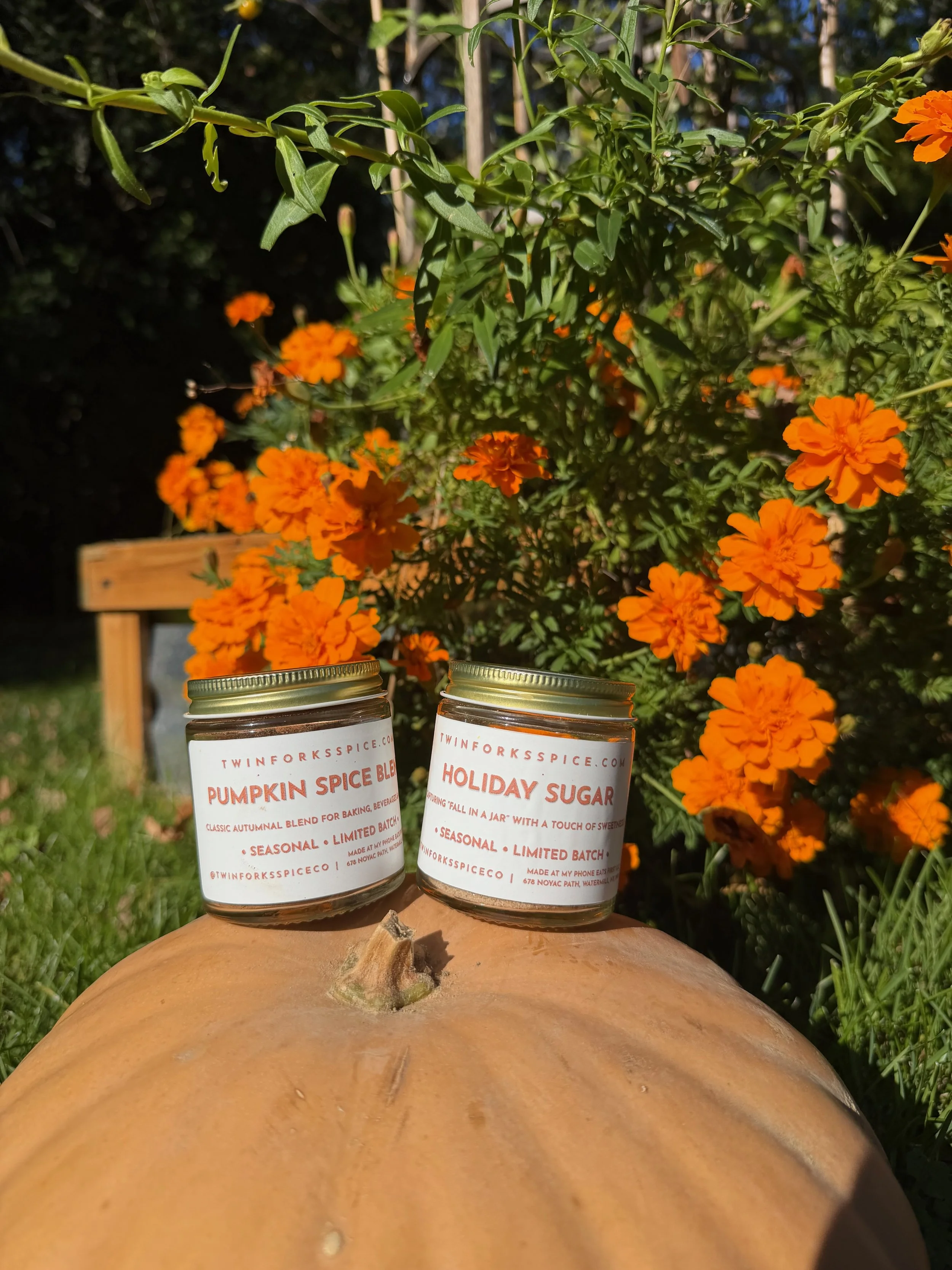 Two jars of Pumpkin Spice Blend and Holiday Sugar displayed on a large pumpkin surrounded by bright orange marigolds.