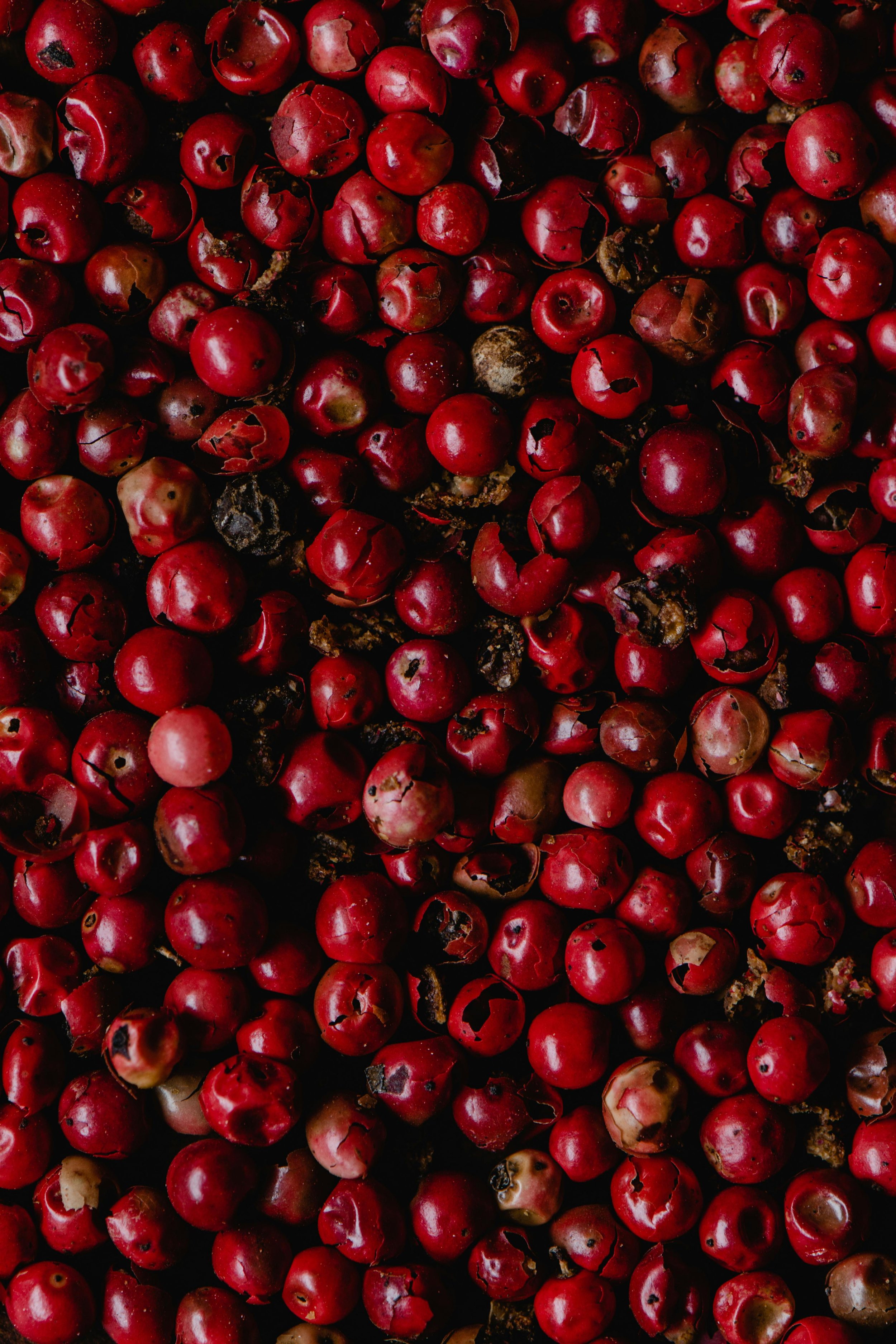 Close-up of numerous red berries, some with cracks or dark spots, scattered closely together.