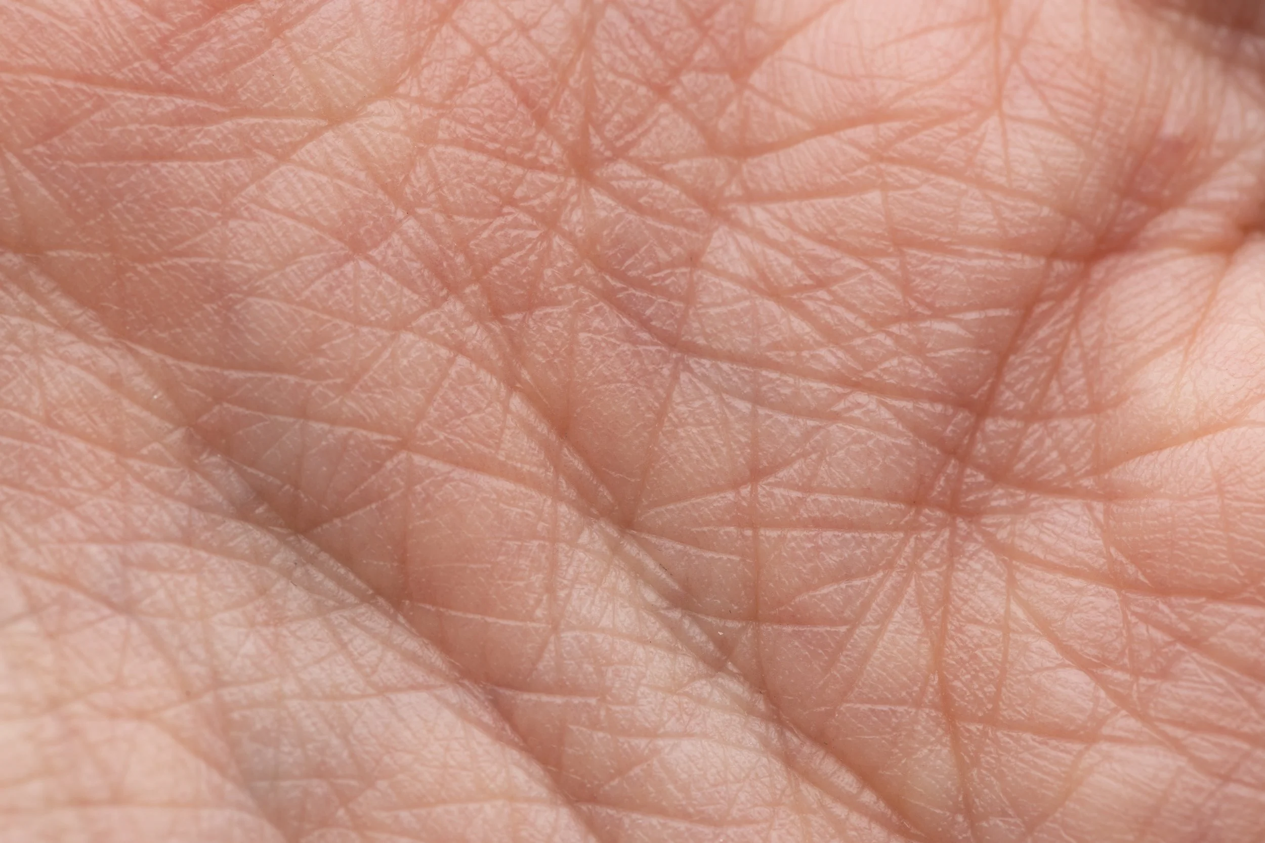 The Collagen Stimulation Mechanism — A Deeper Look at How Biostimulatory Treatments Actually Work