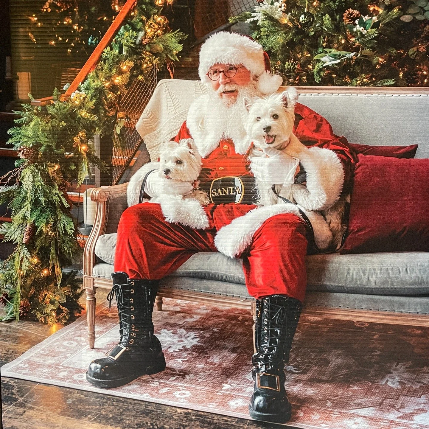 Even your pets will love Santa!