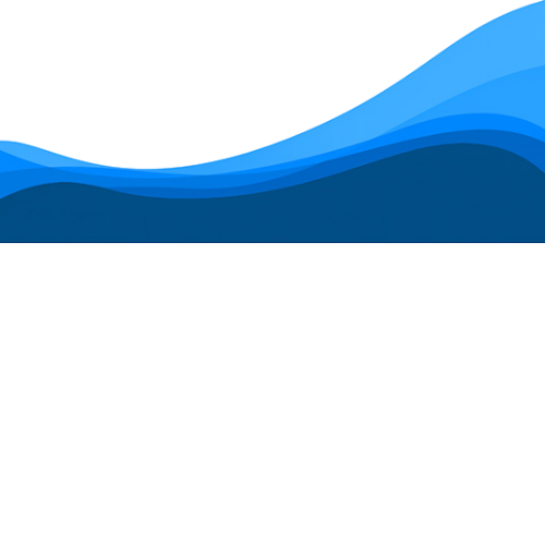 BLEUX FINANCIAL SOLUTIONS