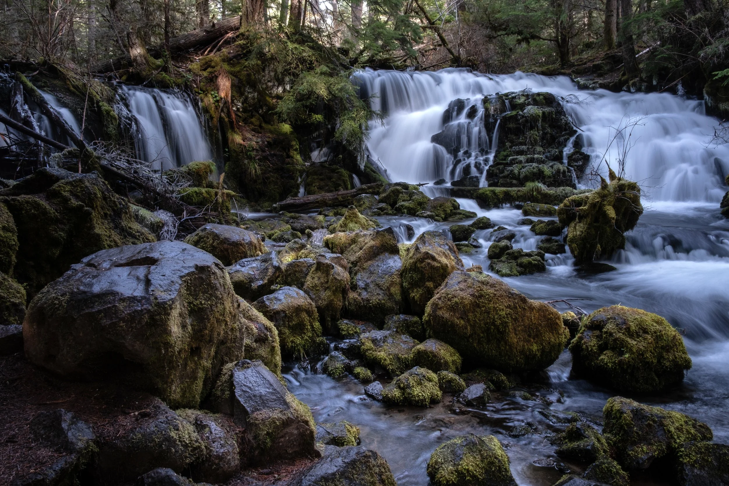 Water spills over moss-covered rock at Pearsony Falls in Southern Oregon, surrounded by deep forest greens and soft moving currents.