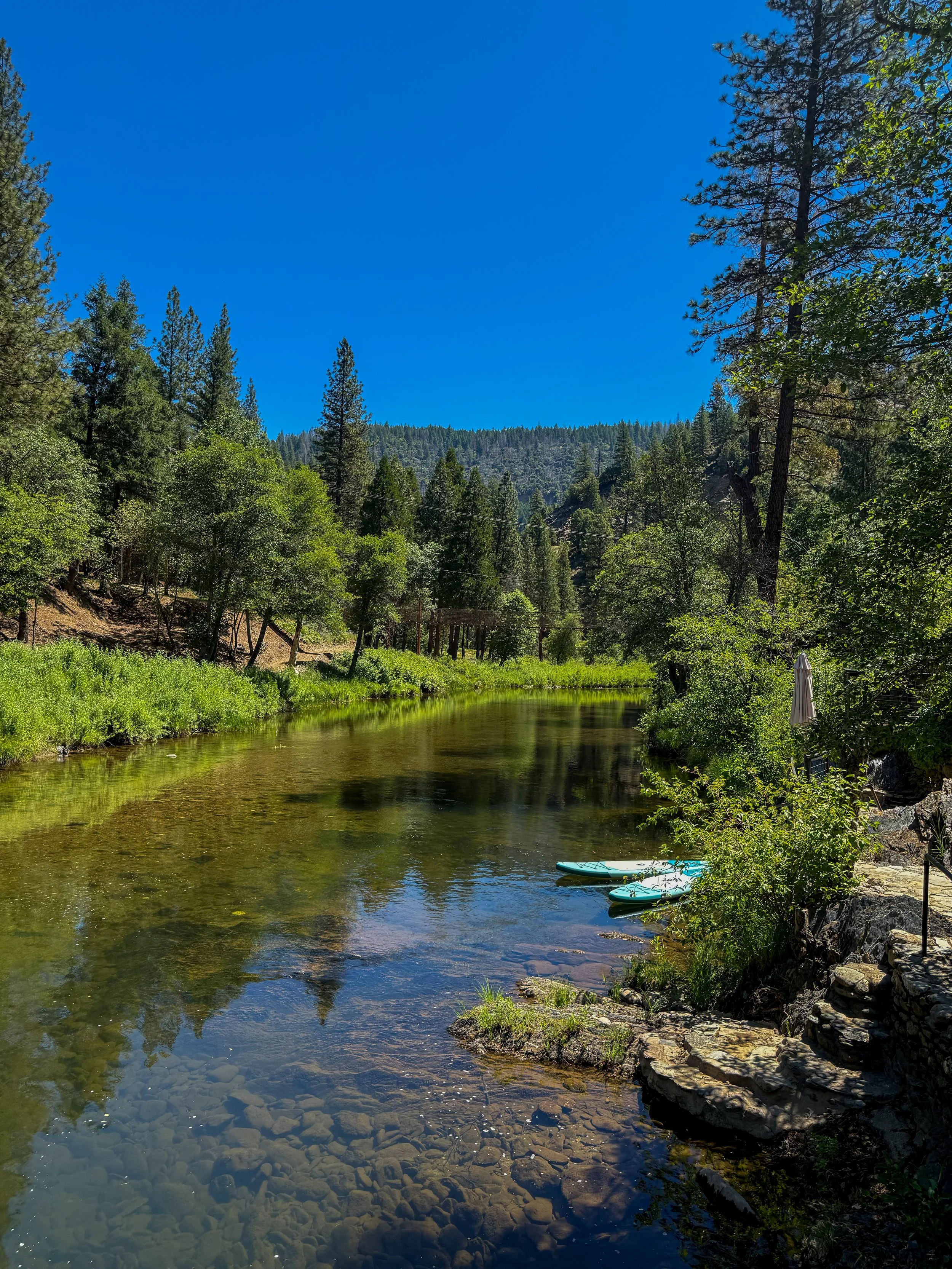 View up the river perfect for Paddleboarding