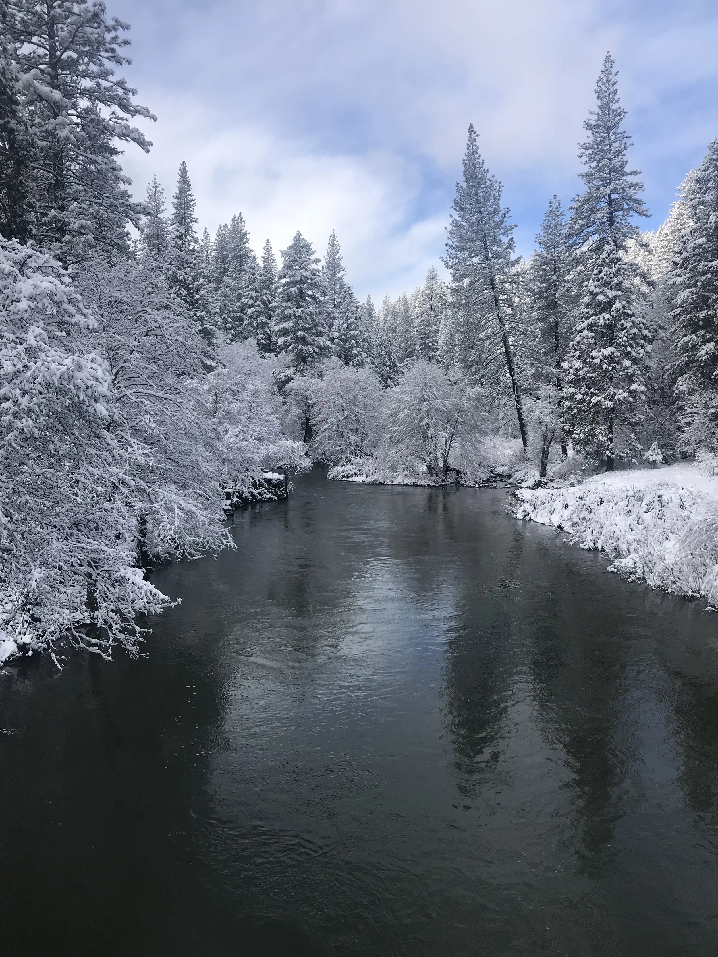 Snow-covered trees along a river in a winter landscape with a partly cloudy sky.