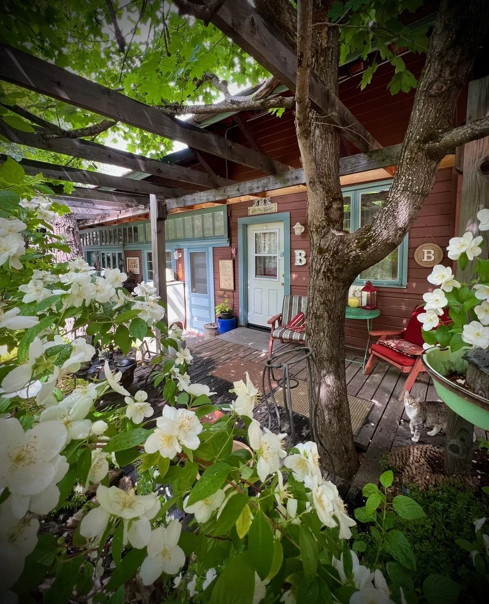 A cozy porch with a wooden deck, a tree with green leaves hangs over the porch, white flowers adorn the foreground, a red chair, striped cushion, and small table are on the porch, and a cat is sitting near the flowers.
