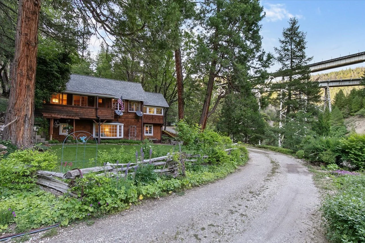 A gravel driveway winds through a lush green forested area. On the left, there is a wooden house with a gray roof, satellite dishes, and lit windows. Surrounding the house are trees, bushes, and a small garden with a trellis. In the background, there