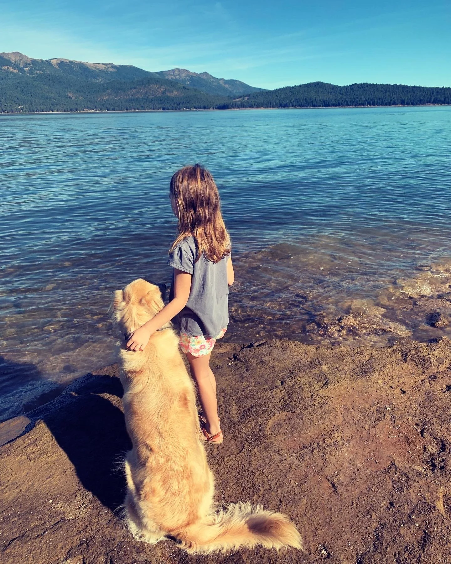 A young girl with long brown hair standing on a sandy and rocky shore, looking out at a calm lake with mountains in the background, accompanied by a large, fluffy golden retriever sitting beside her.
