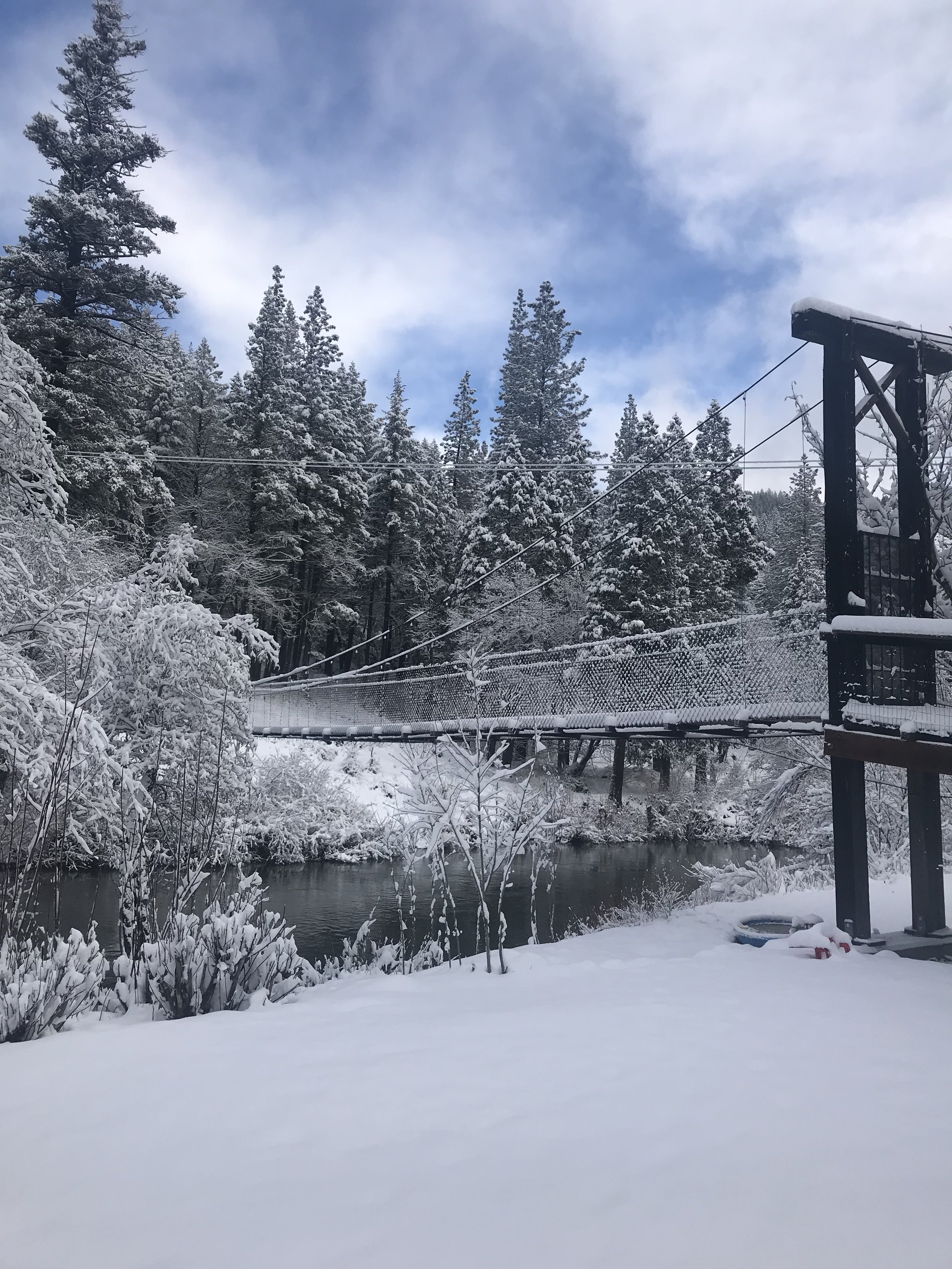 Snow-covered trees and bridge over a river in a winter landscape.