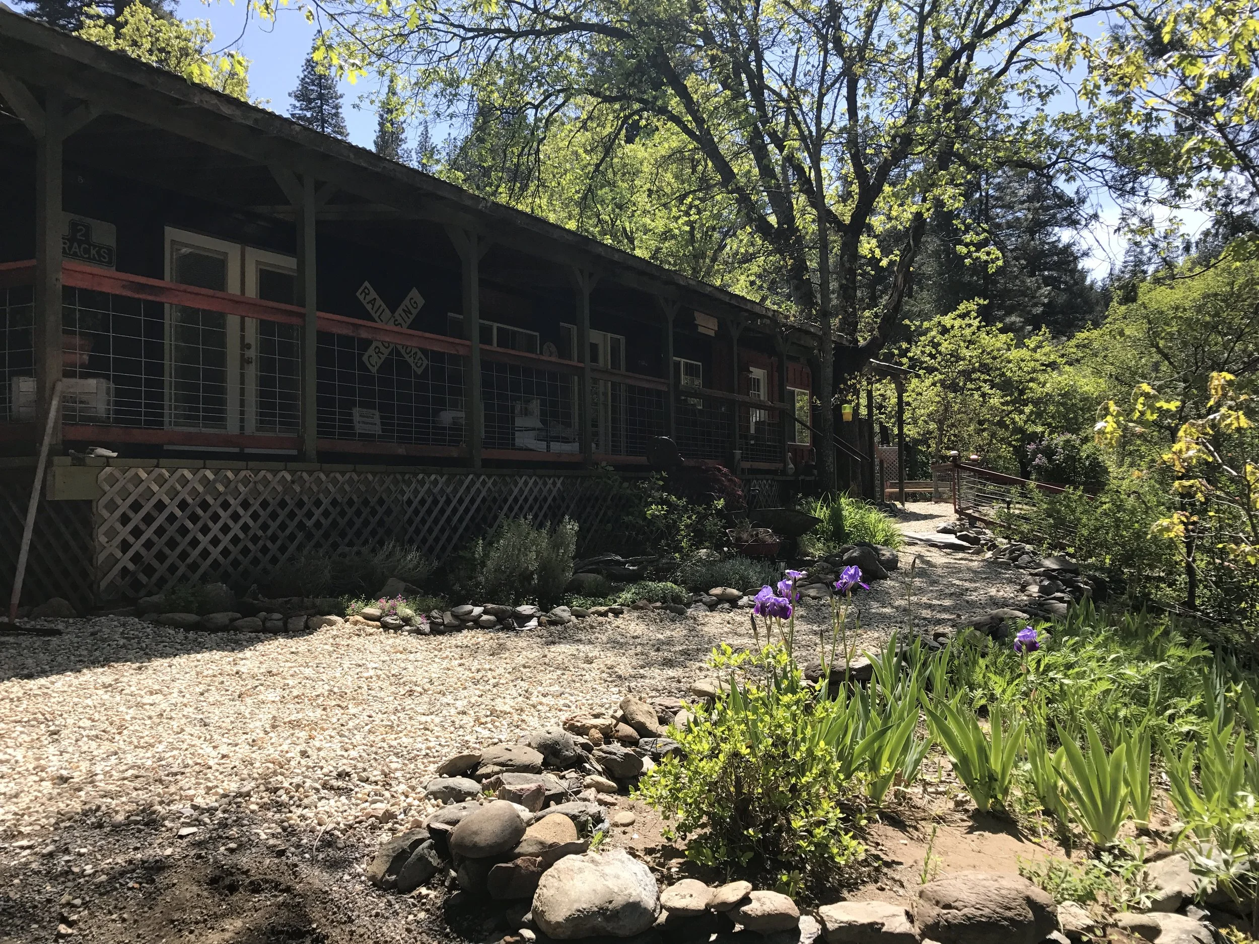 A rustic building with a porch, surrounded by trees and plants, with a gravel pathway leading up to it. The scene suggests a garden or a countryside setting.